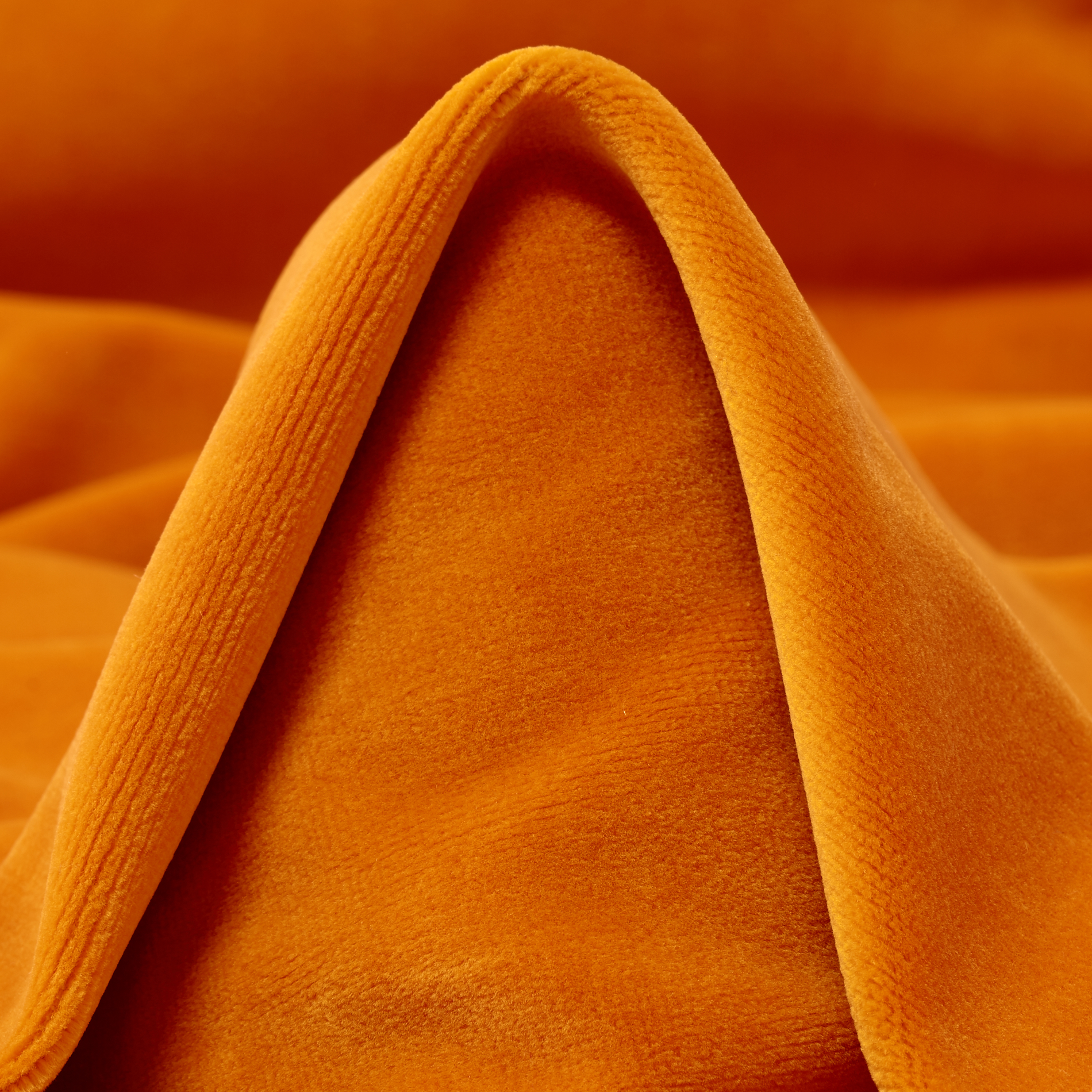 VELVET, COTTON, PERSIMON (C0002330)