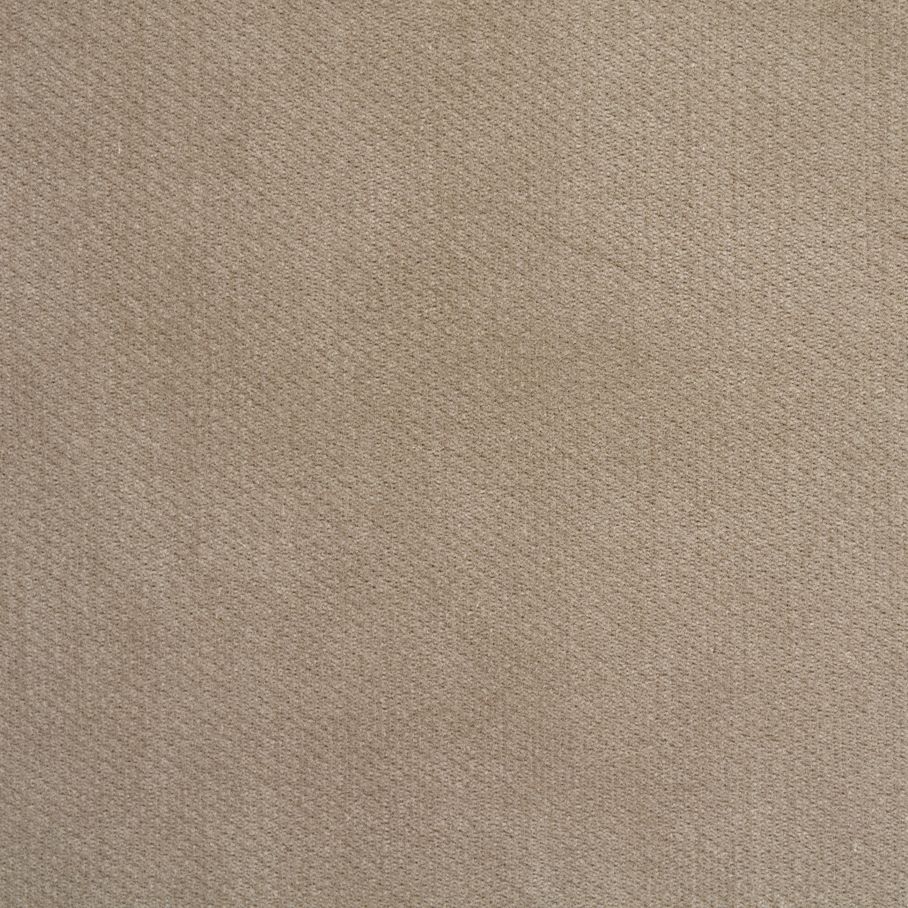 VELVET, COTTON, ELASTIC, DRIED SAGE (F000041957) - Texture
