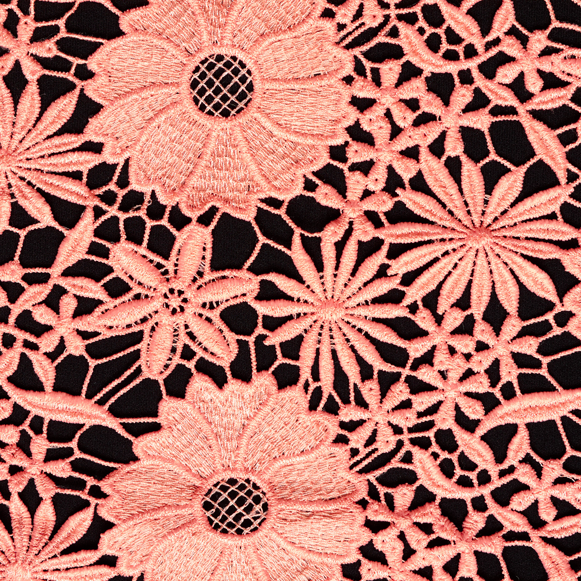 LACE, FLORAL, CORAL CLOUD (F000046464) - Texture