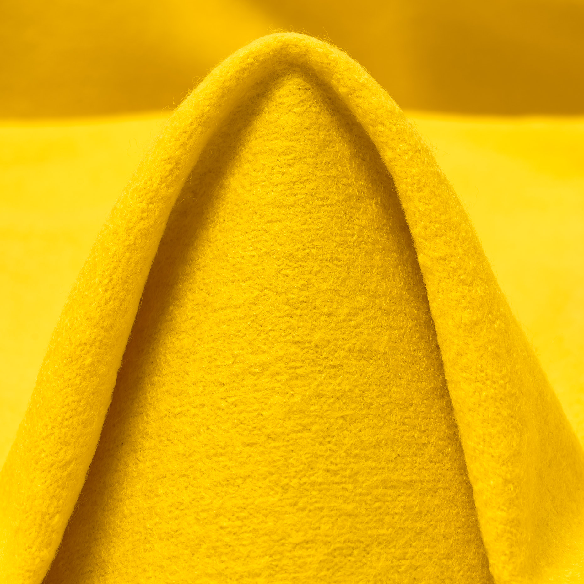 BOUCLÉ, BOILED WOOL, YELLOW CREAM (F000047032)
