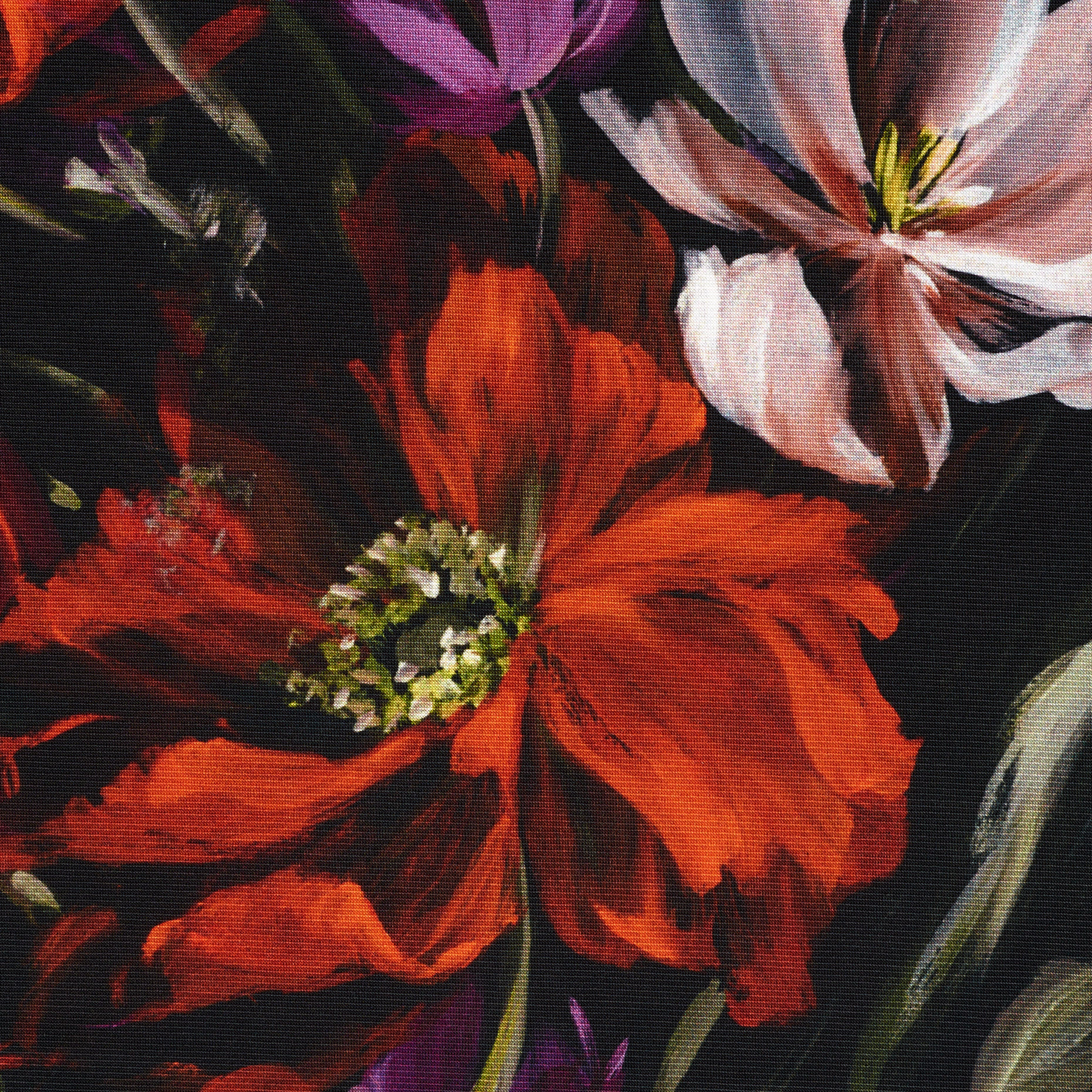 Техно Джерси, Принт, Высокая Эластичность, Summer Fig&Raven Black (F000041475) - Ткань