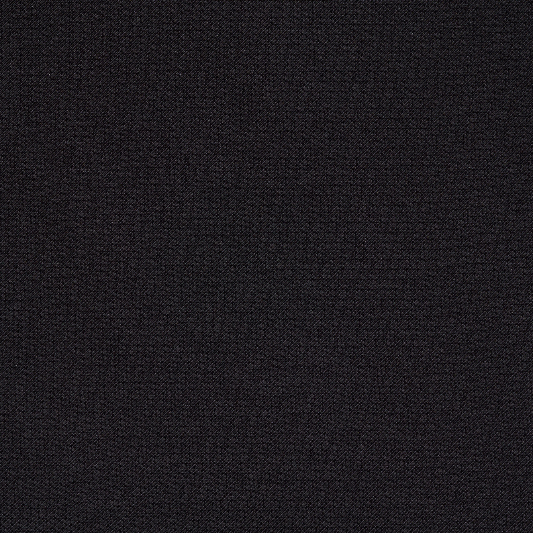 CANVAS, COTTON, ELASTIC, JET BLACK (F000036103) - Texture