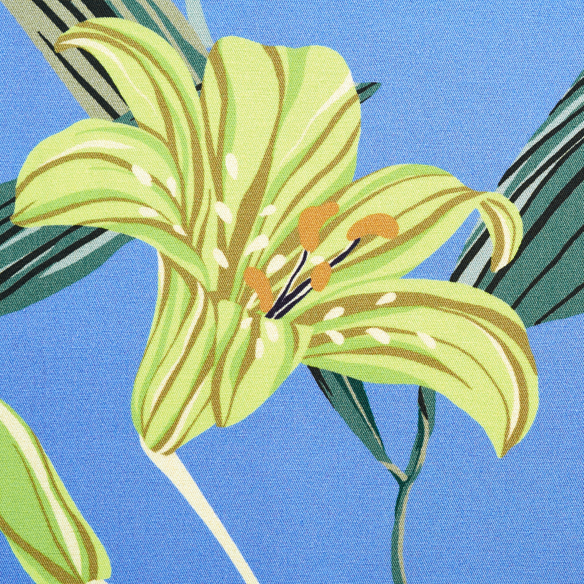 Twill, Baumwolle, Elastik, Dutch Canal&Tender Yellow (F000049261) - Gewebe