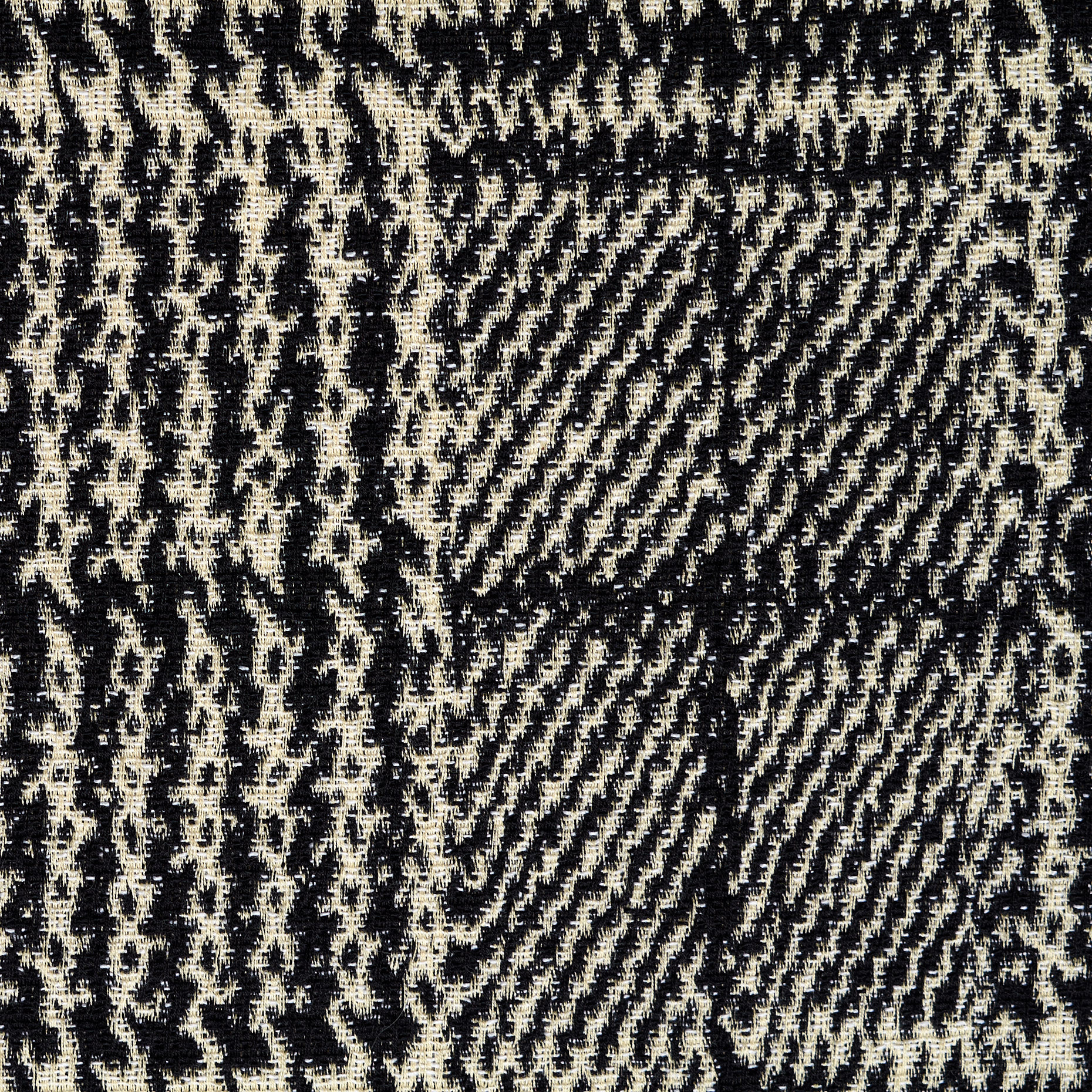 Jacquard, Cotone Elastico, Vanilla Ice&Raven Black (F000044066) - Trama