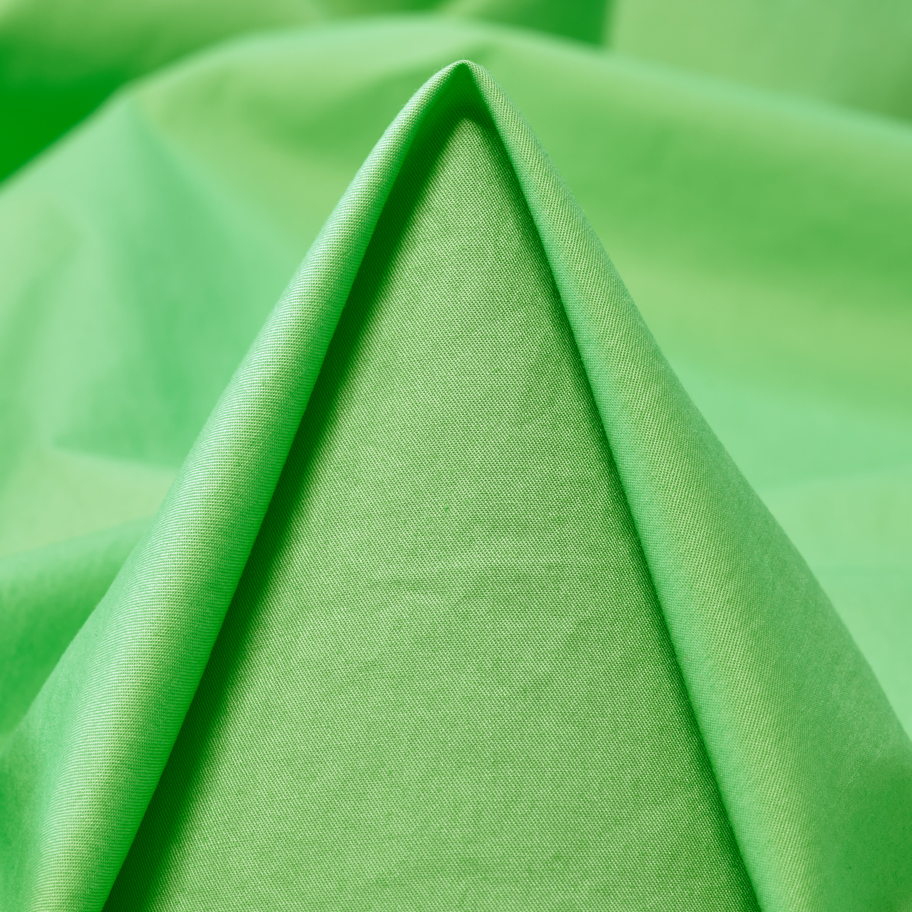 POPLIN, COTTON, ELASTIC, SUMMER GREEN