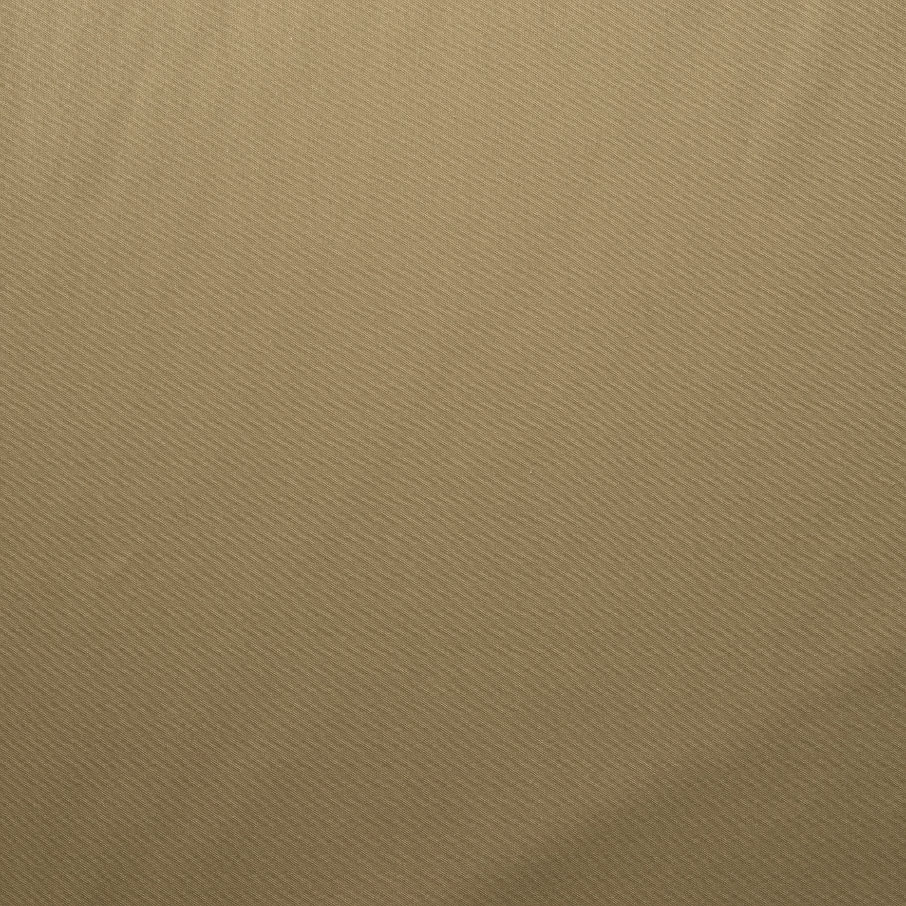 POPLIN, COTTON, HIGH ELASTICITY, BEIGE (F000015884) - Texture