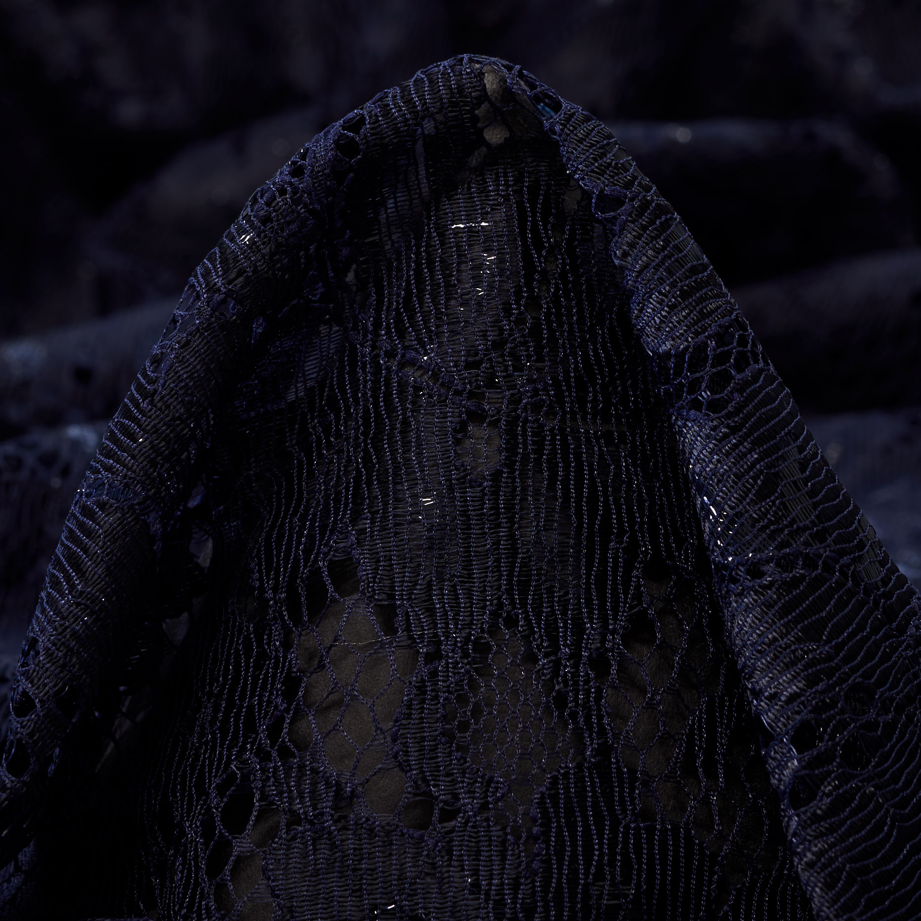 Encaje, Ramié, Metallic, Night Sky (F000037523)