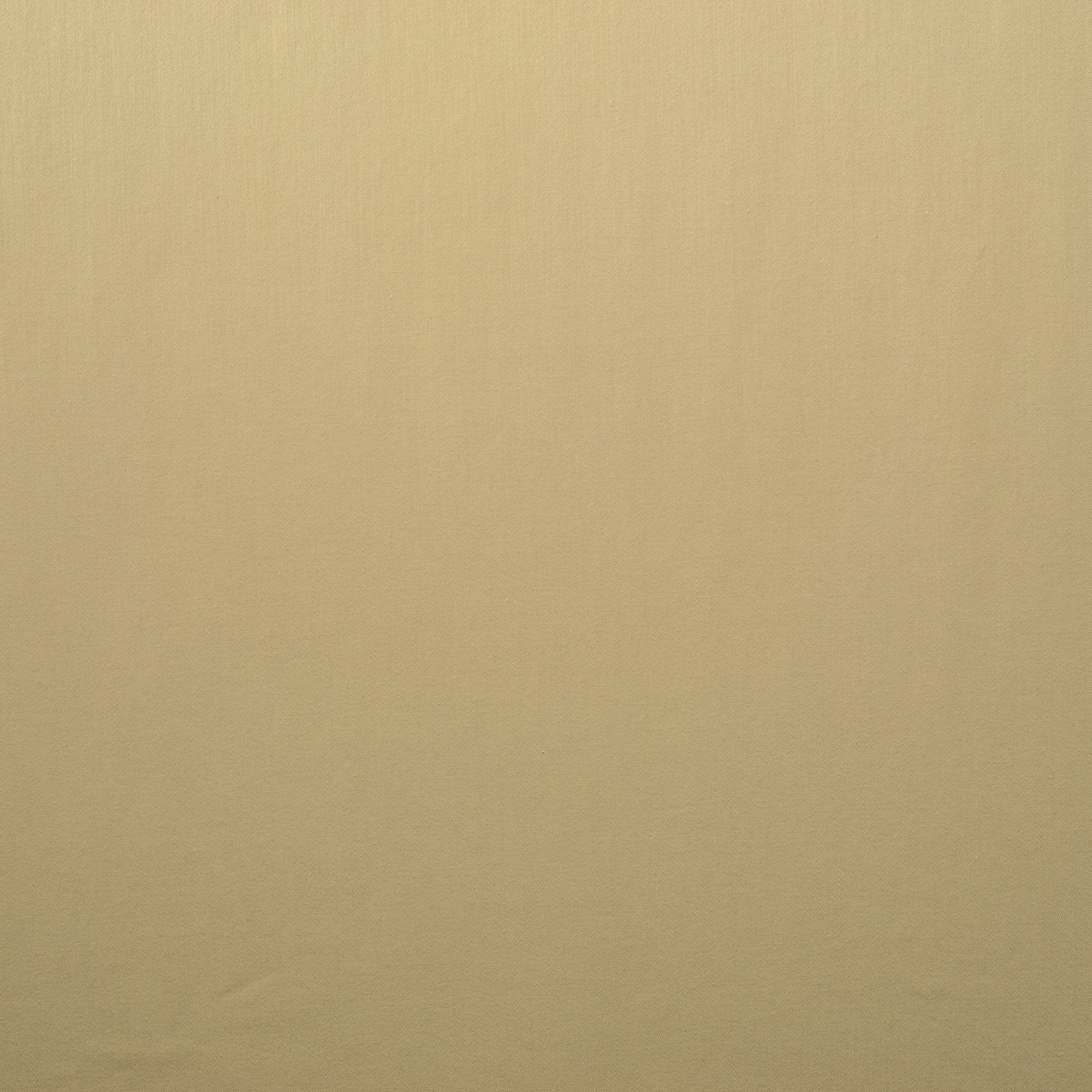POPLIN, COTTON, ELASTIC, BISCOTTI (F000015947) - Texture