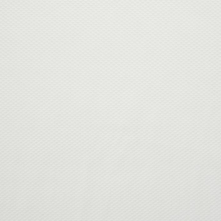 Bawełna, Stretch, Mikrostruktura, Snow White (F000027229) - Tkana