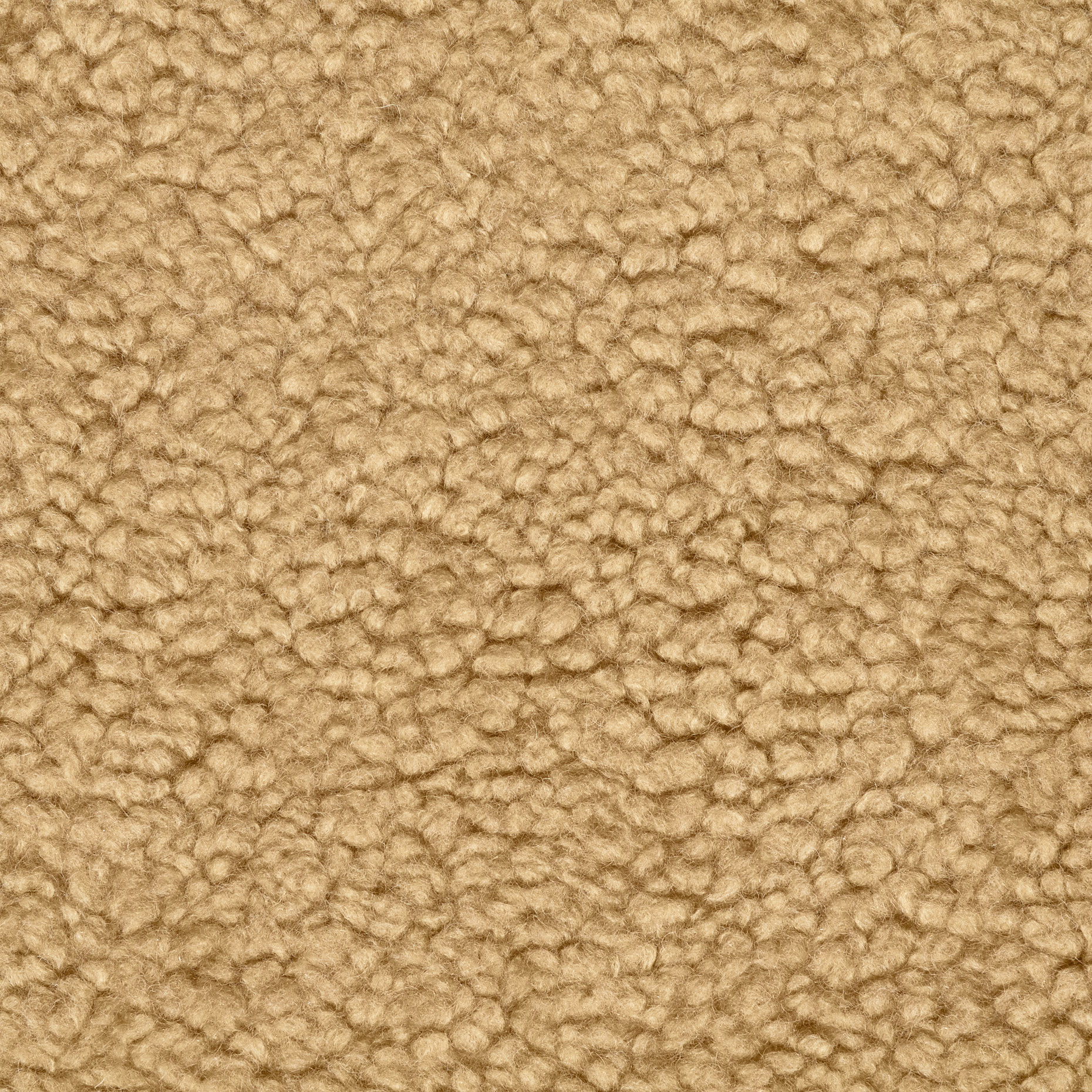 Fake Fur, Teddy, Wool Blend, Pale Khaki (F000043172) - Texture