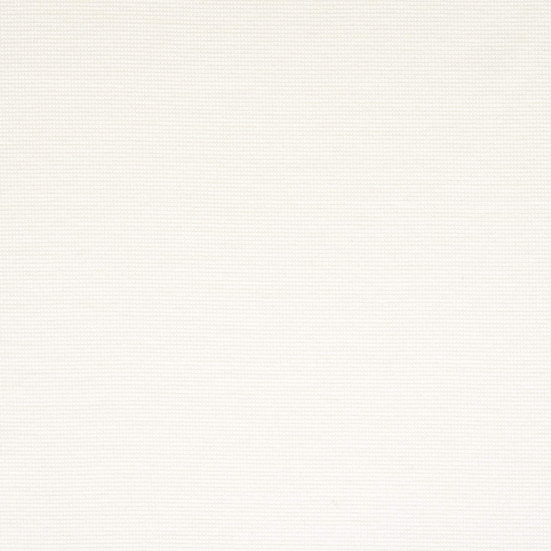 JERSEY, COTTON, ELASTIC, SNOW WHITE (F000048953) - Texture