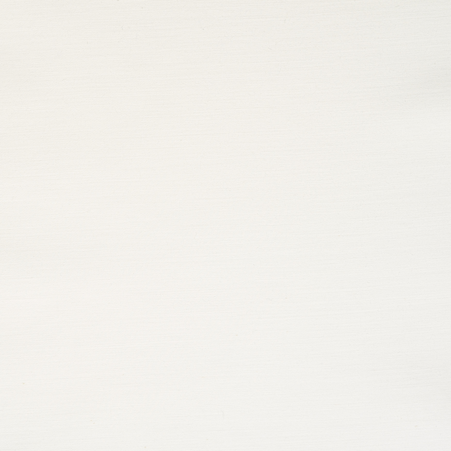 Popeline, Coton, Lucent White (F000048487) - Tissage