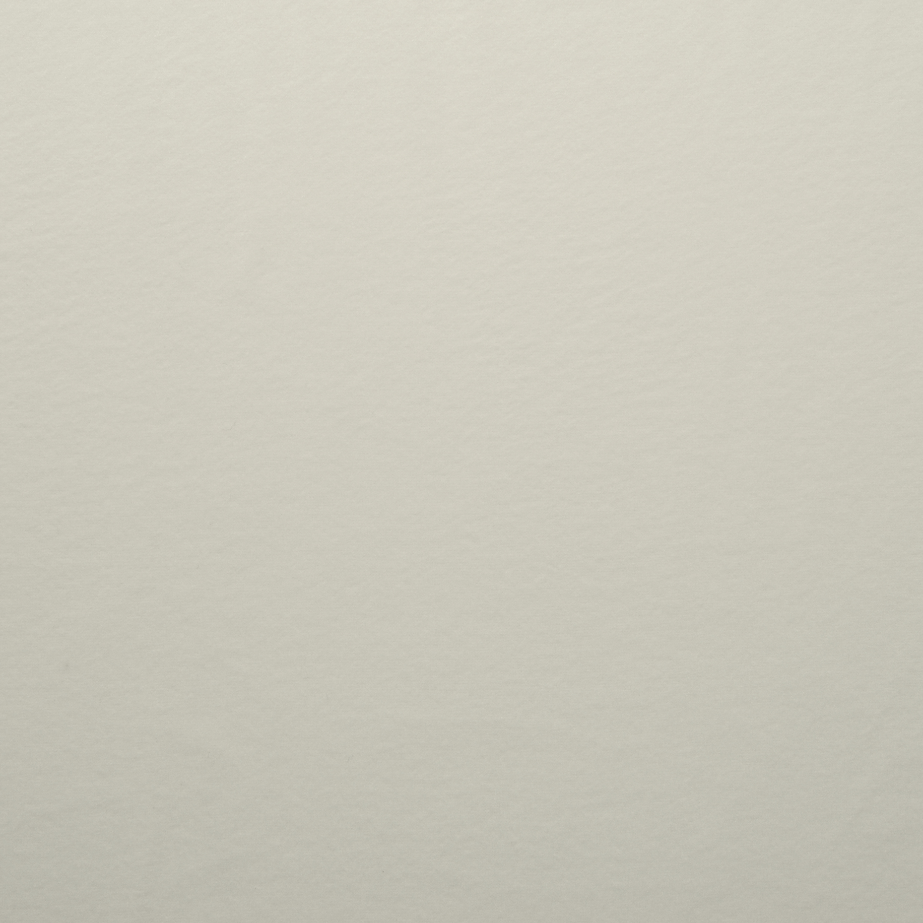 JERSEY, FLEECE, SNOW WHITE (F000017179) - Texture