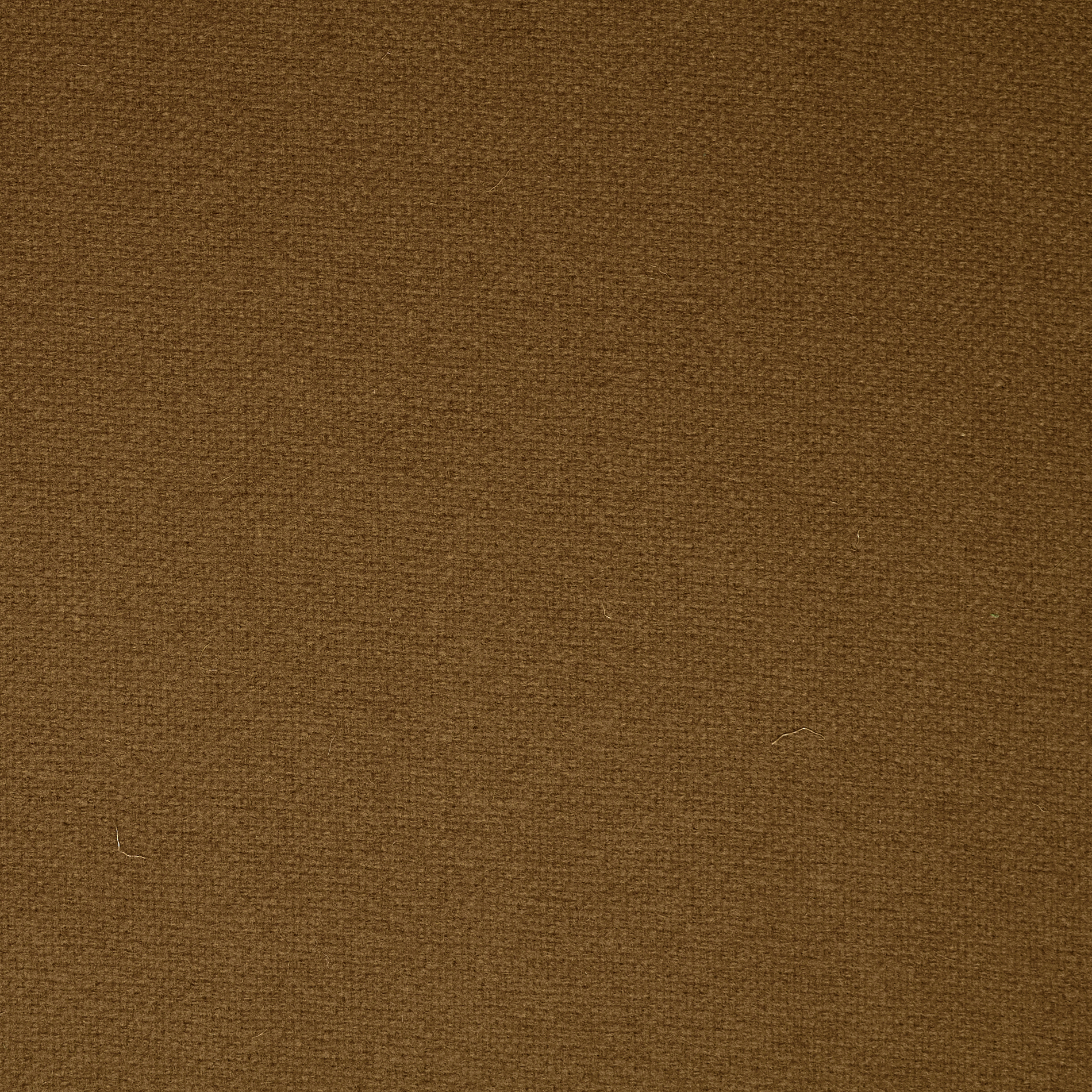 Lana, Micro Design, Brown Sugar (F000035841) - Trama