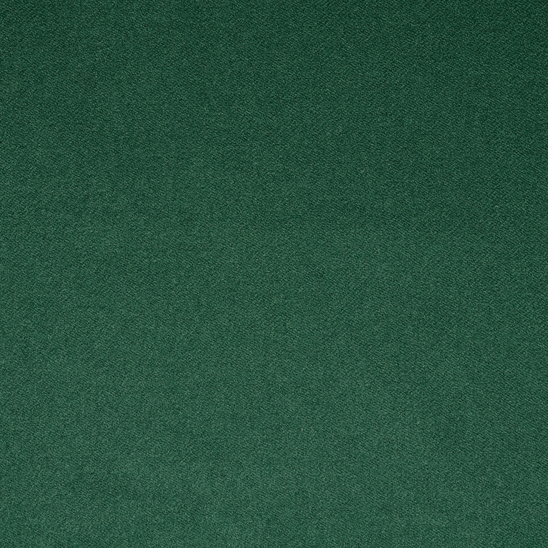 FLANNEL, CASHMERE, CADMIUM GREEN (F000033682) - Texture