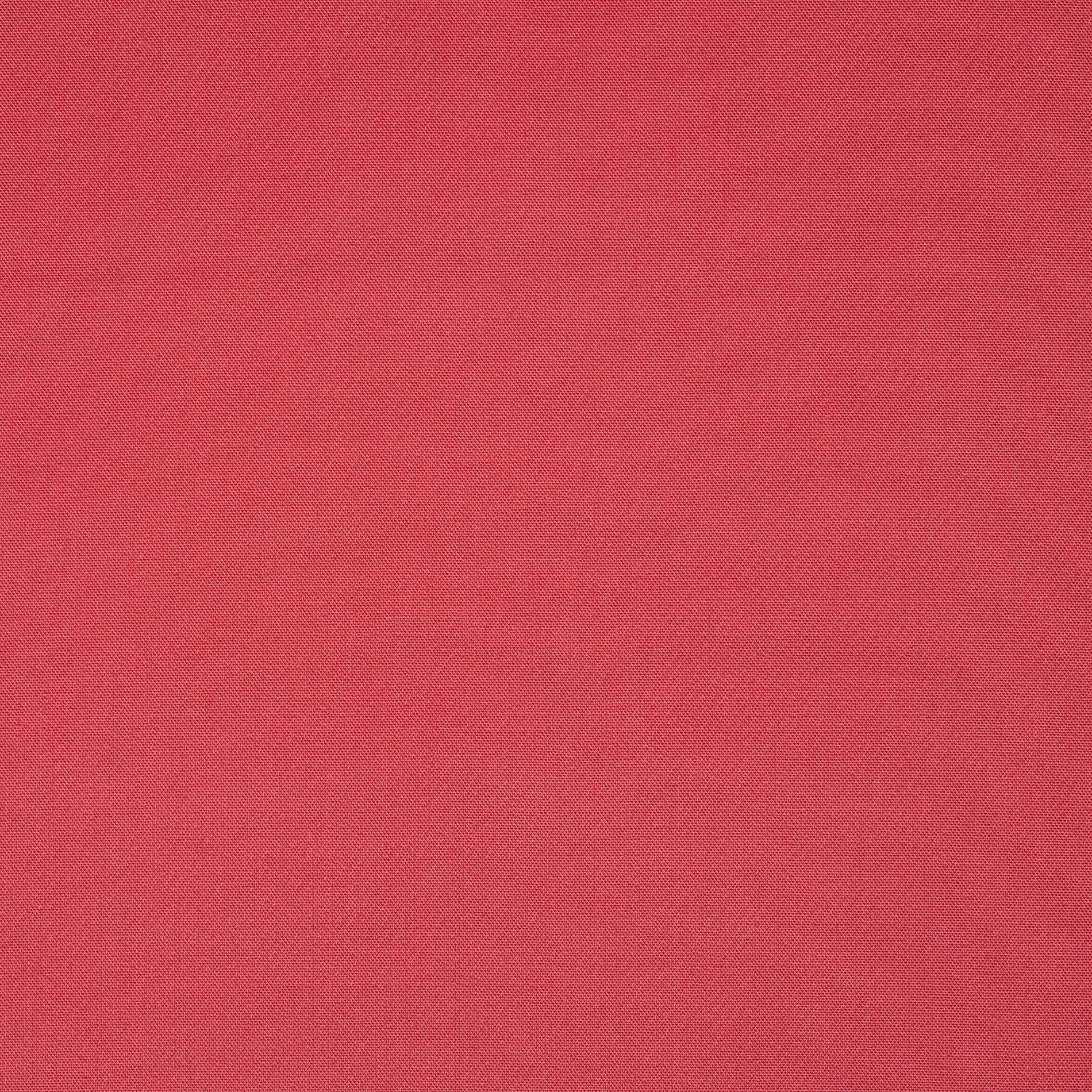 Cotone, Deep Sea Coral (F000033482) - Trama