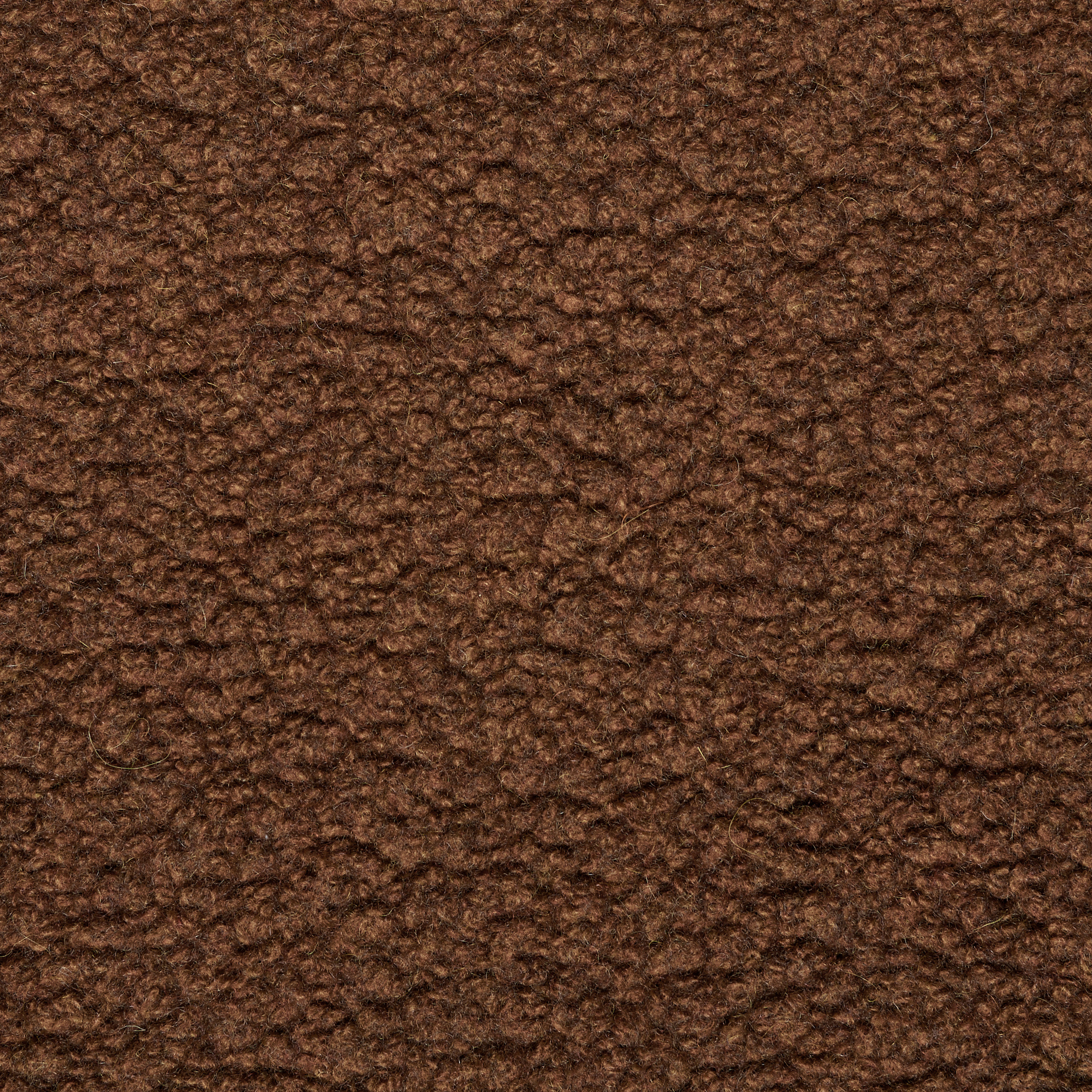 TEDDY, JERSEY, WOOL, SEQUOIA (F000047955) - Texture