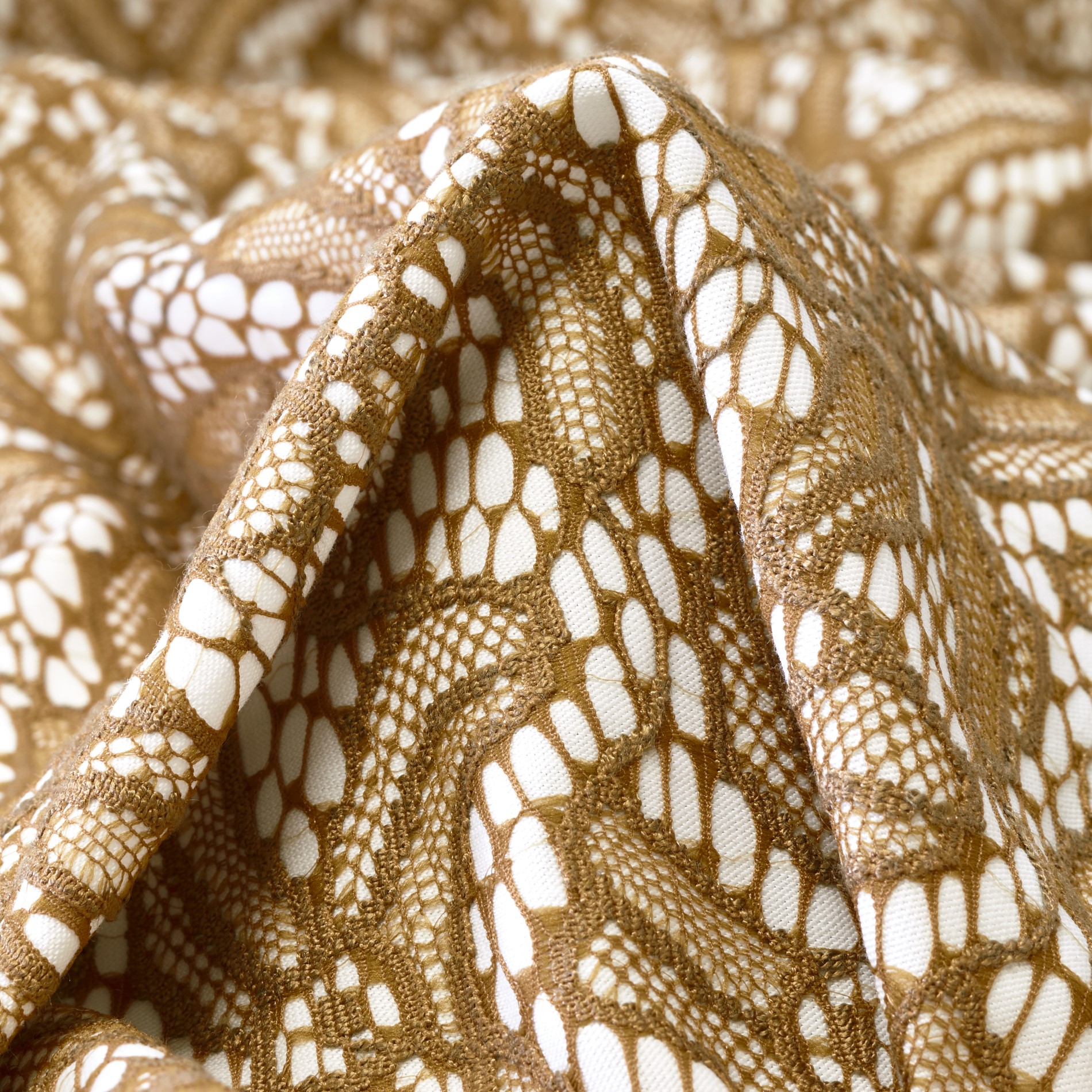 LACE, COTTON, SAND&SNOW WHITE (F000031738)