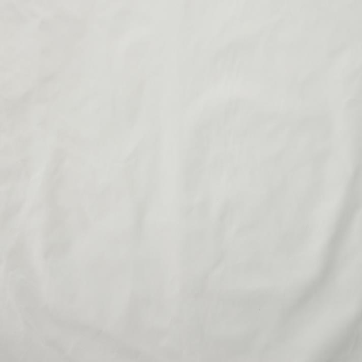 OUTDOOR, SNOW WHITE (F000027354) - Texture