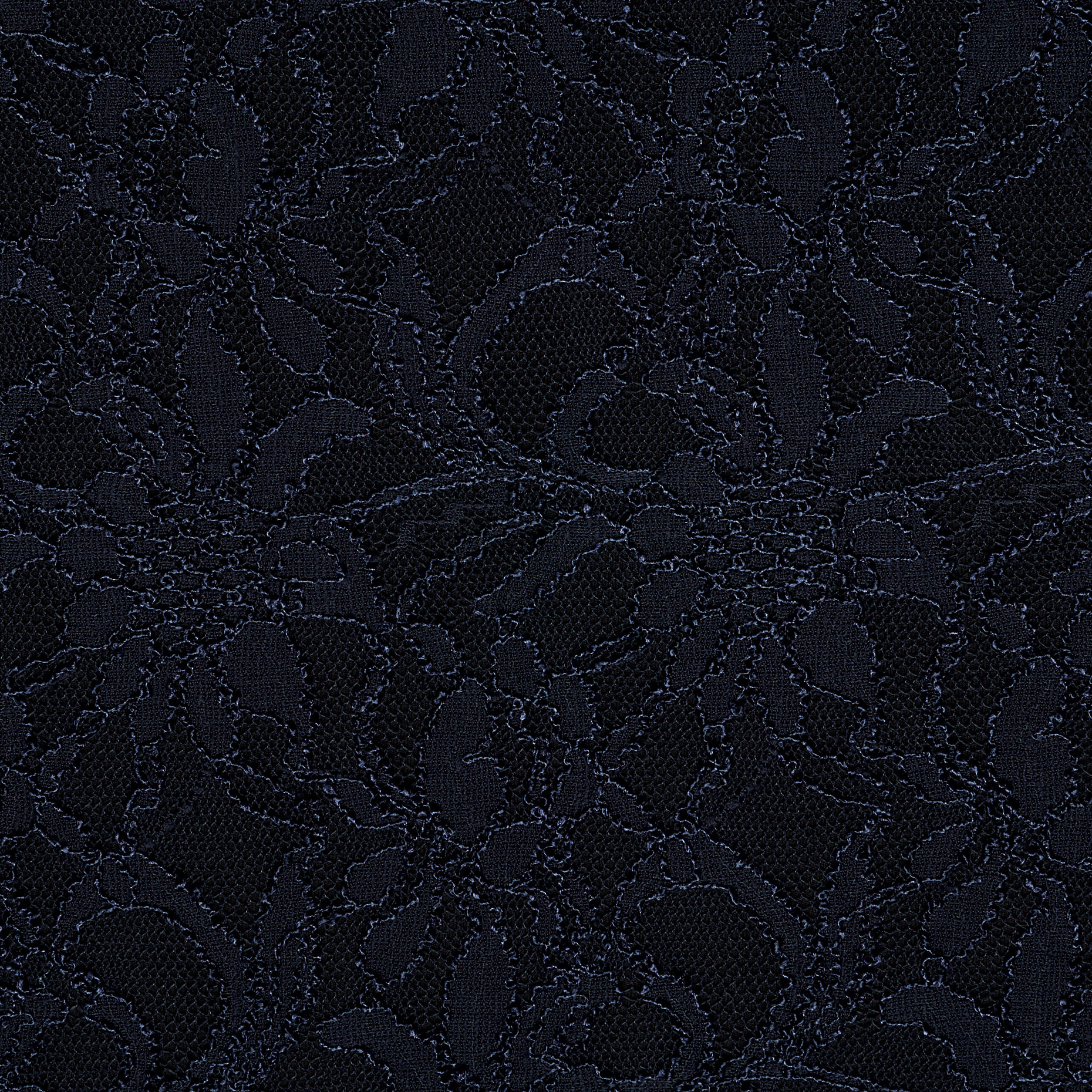 LACE, ELASTIC, FLORAL, PARISAN NIGHT (F000041484) - Texture