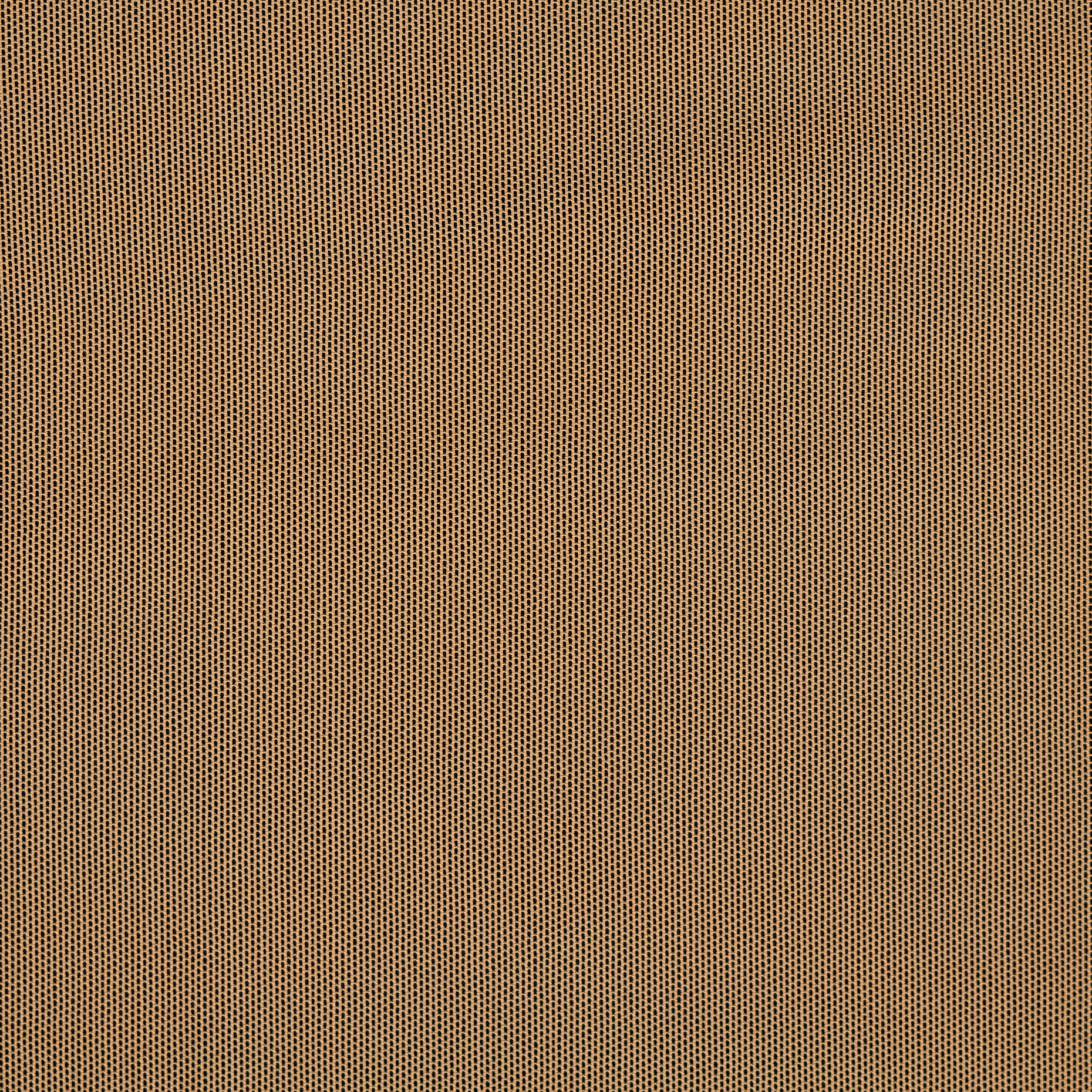 Tulle, Élastique, Nougat (F000022184) - Tissage