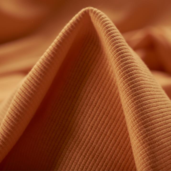 Rippjersey, Baumwolle Elastik, Carrot (P2-0000300)