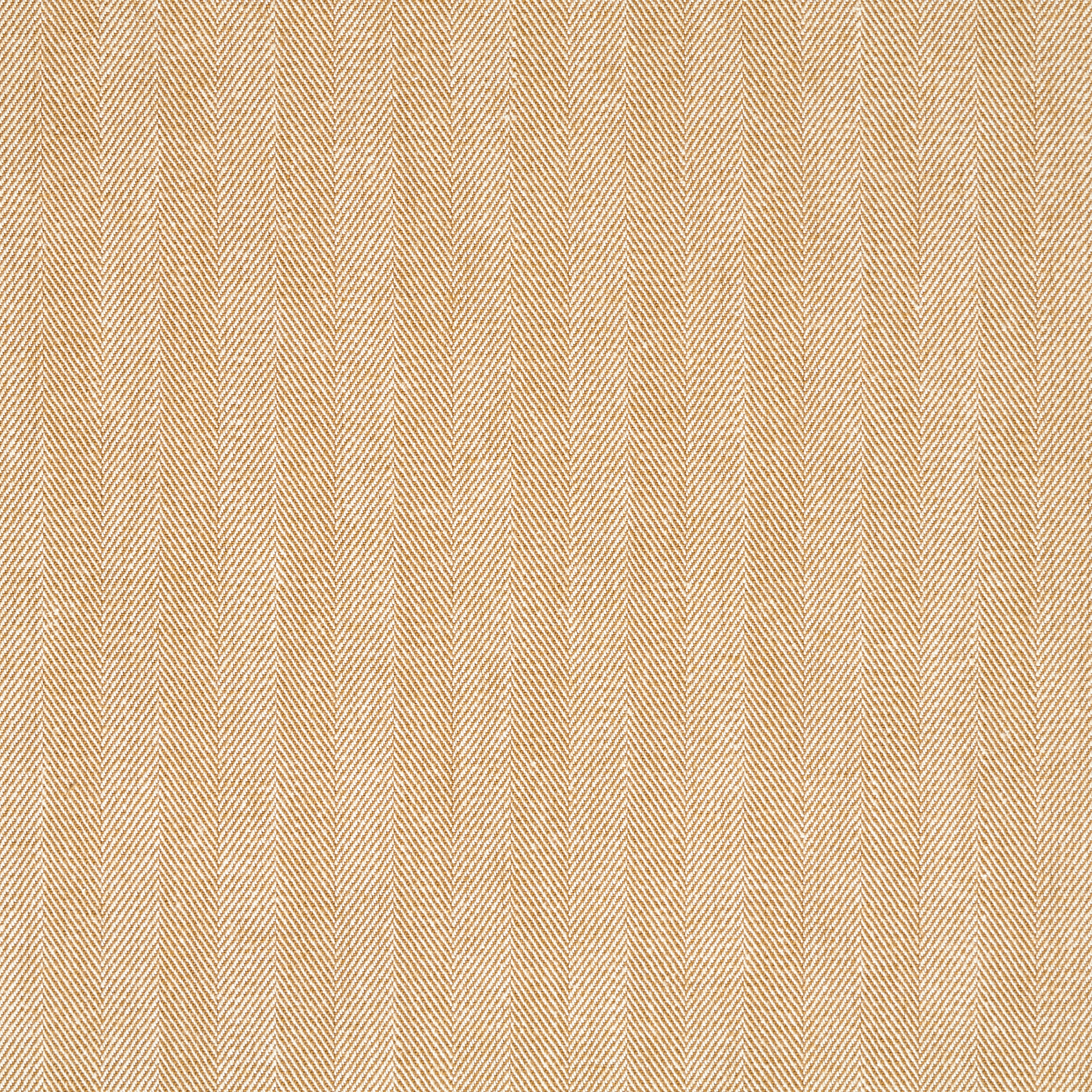 Ёлка, Хлопок, Елка, Ivory (F000008728) - Ткань