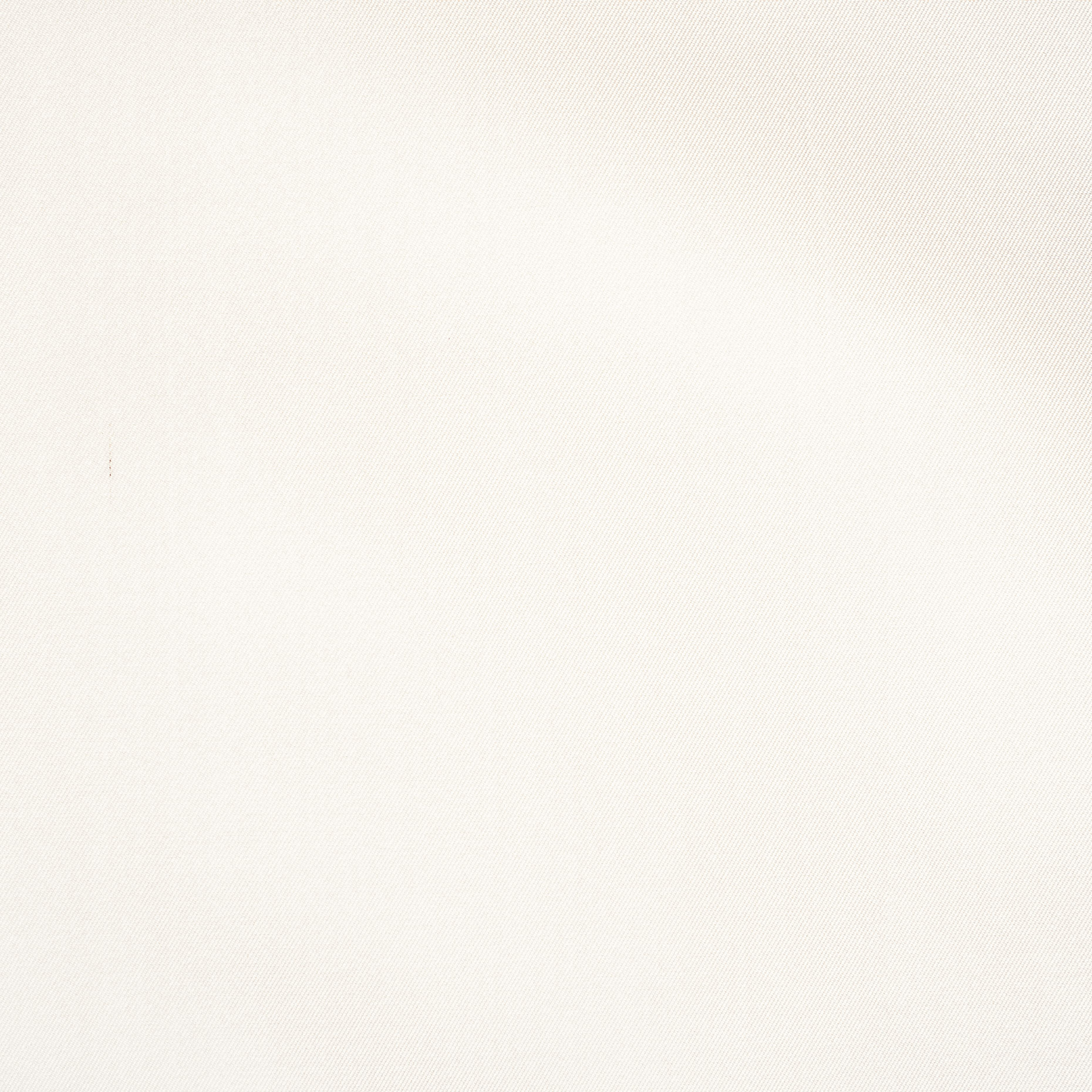 DUCHESSE, SILK, SNOW WHITE (B0000021) - Texture