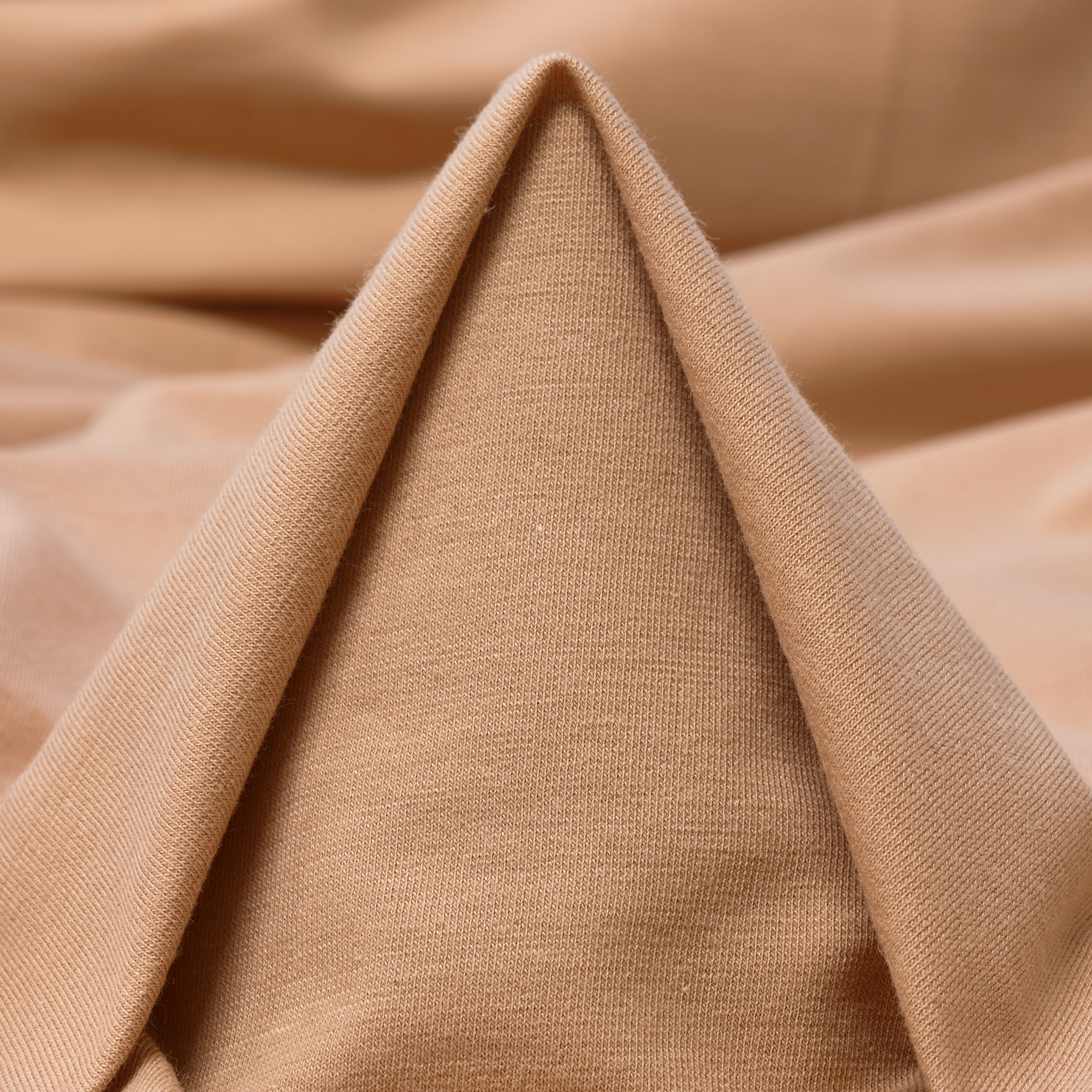 SINGLE JERSEY, COTTON, FRAPPÈ (F000034659)