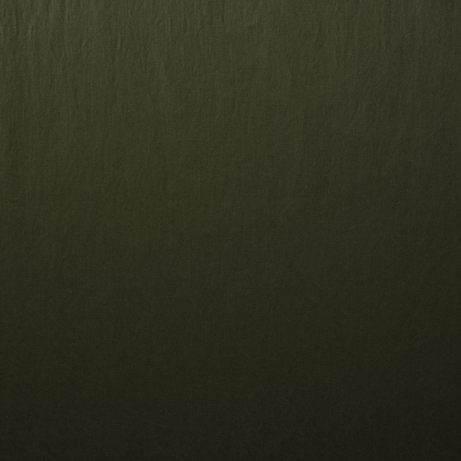 POPLIN, COTTON, ELASTIC, ALOE (F000015246) - Texture