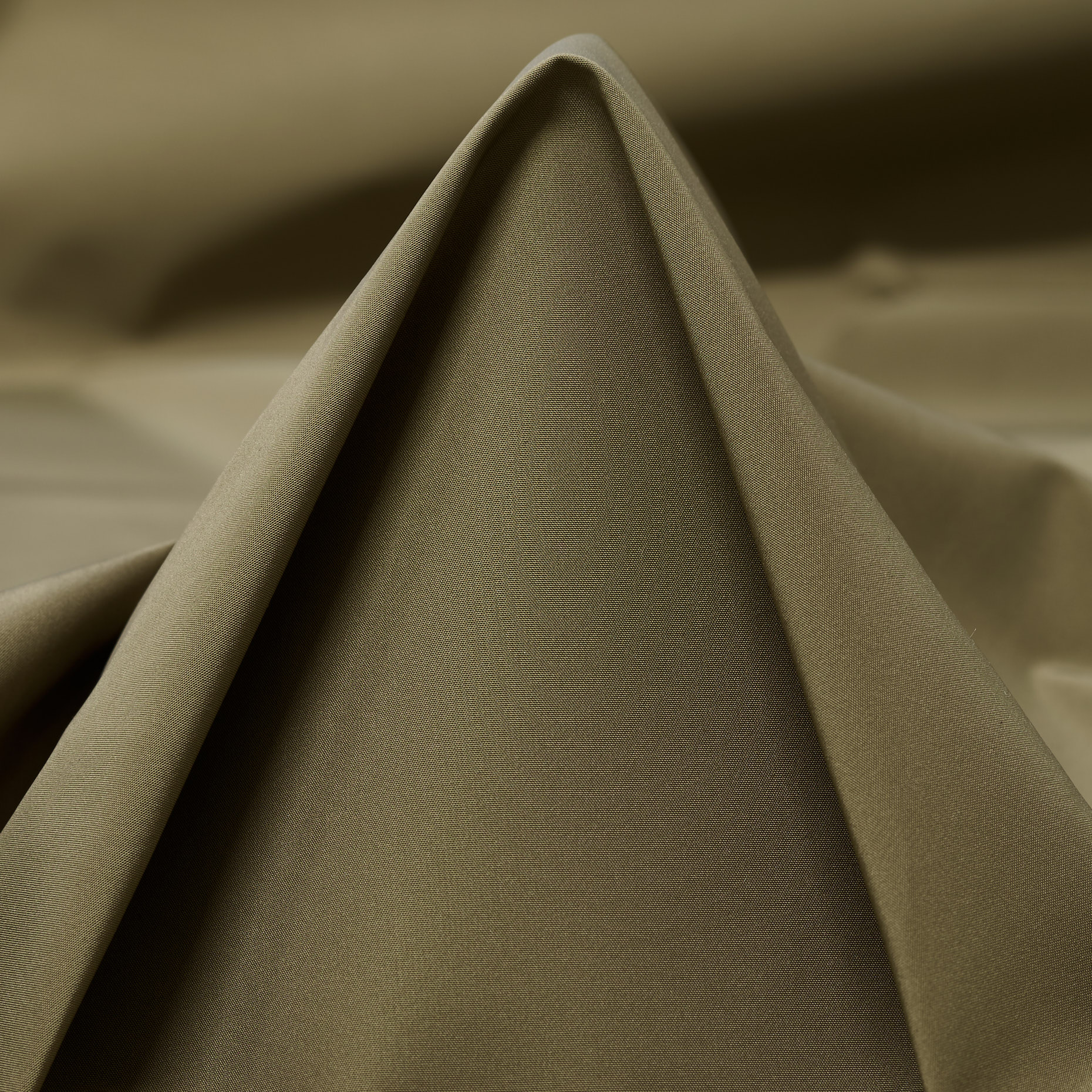 TAFFETA, DRIED HERB (F000043438)