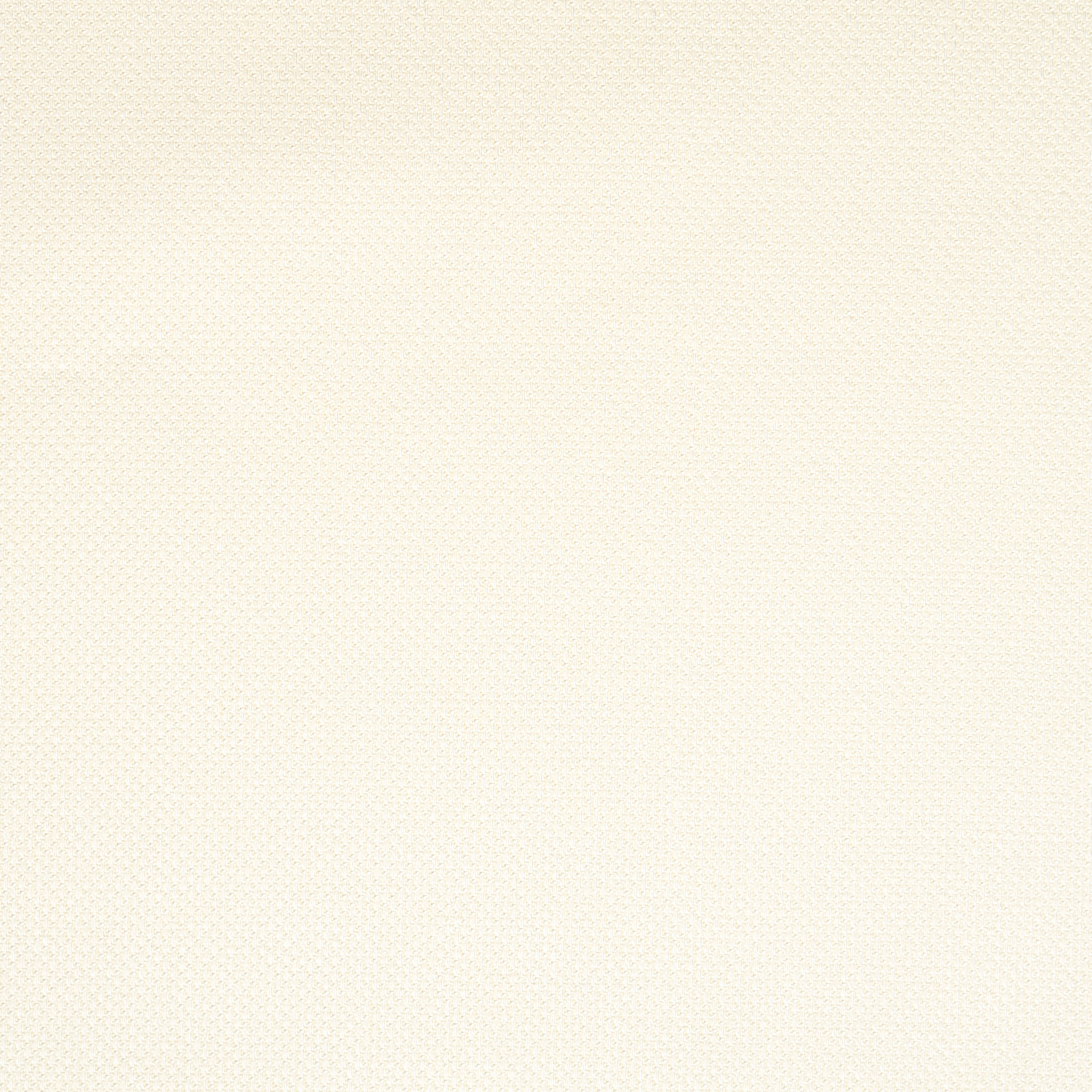 Coton , Élastique, Snow White (F000044612) - Tissage