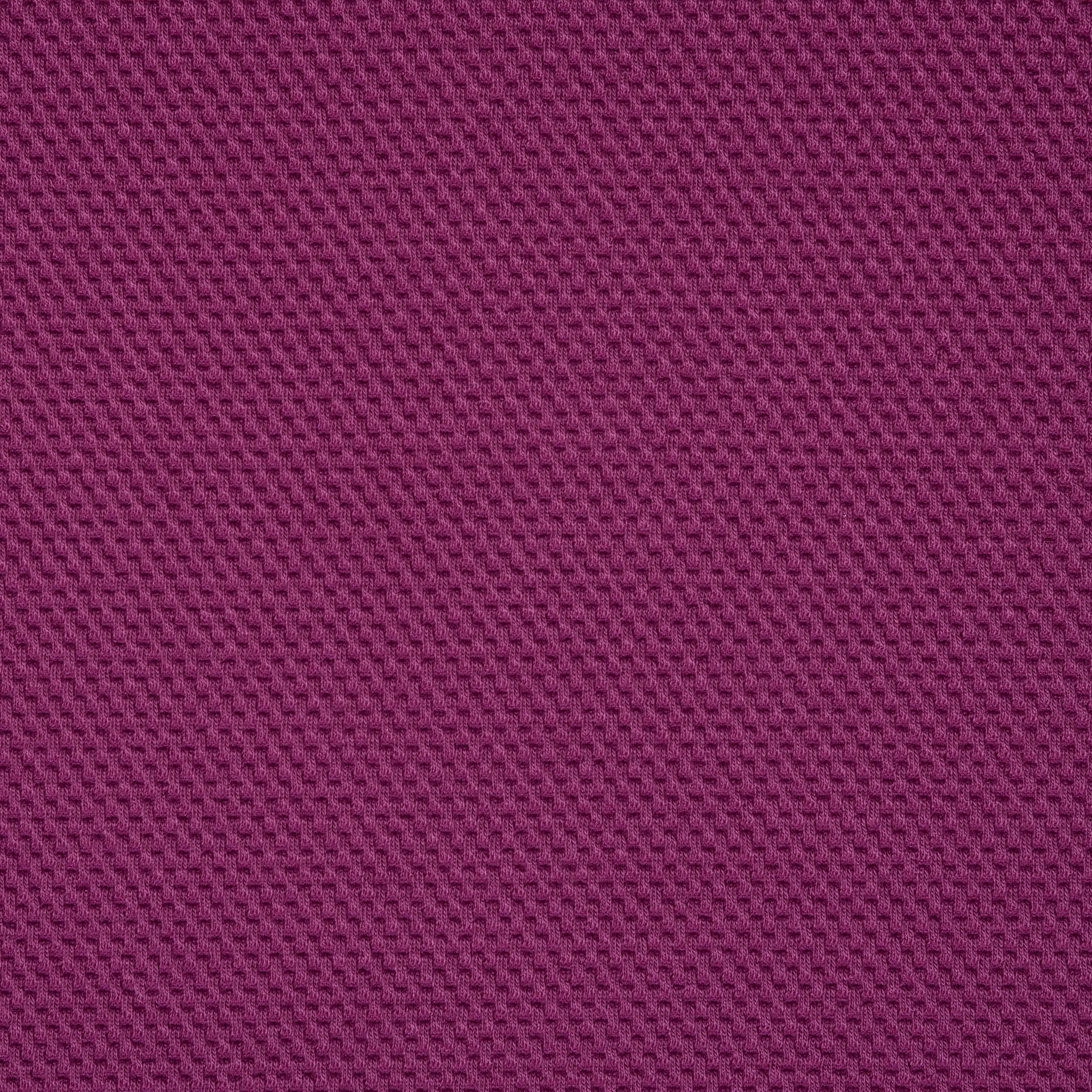 Jersey, Piqué, Fuchsia (F000036693) - Tissage