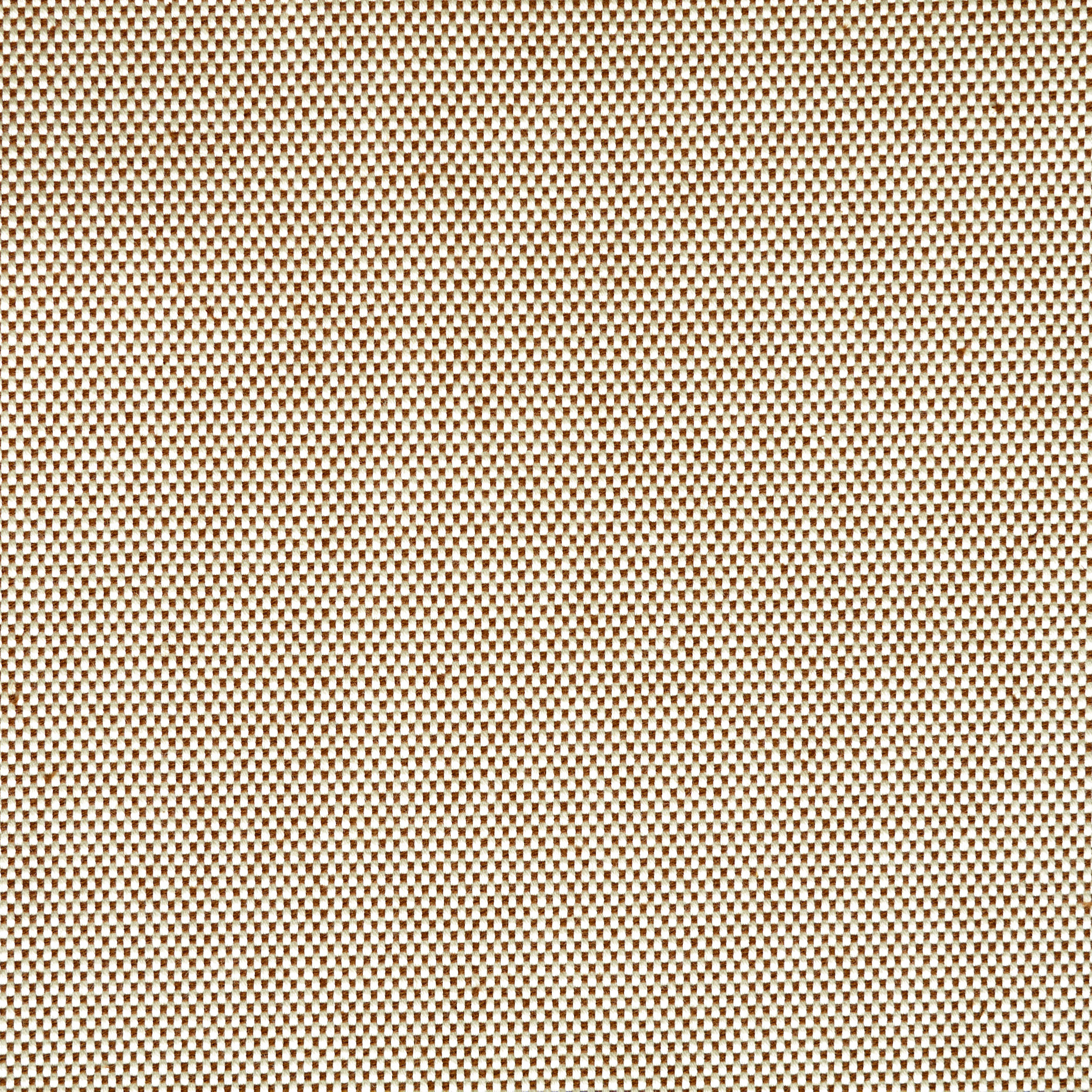 CANVAS, COTTON, COATED, FEATHER GRAY (F000043980) - Texture