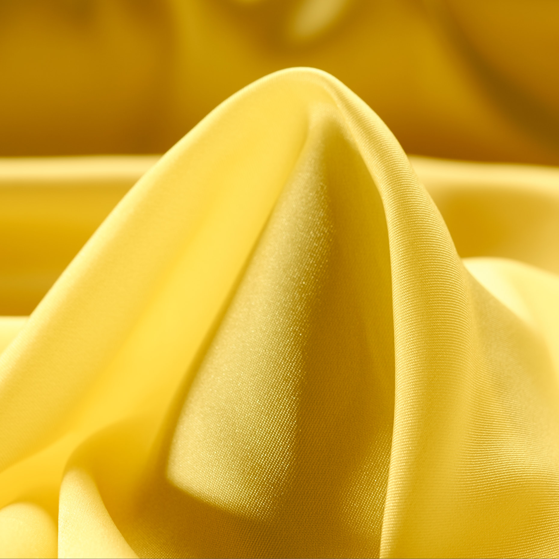 LINING, CANARY BIRD (F000021321)