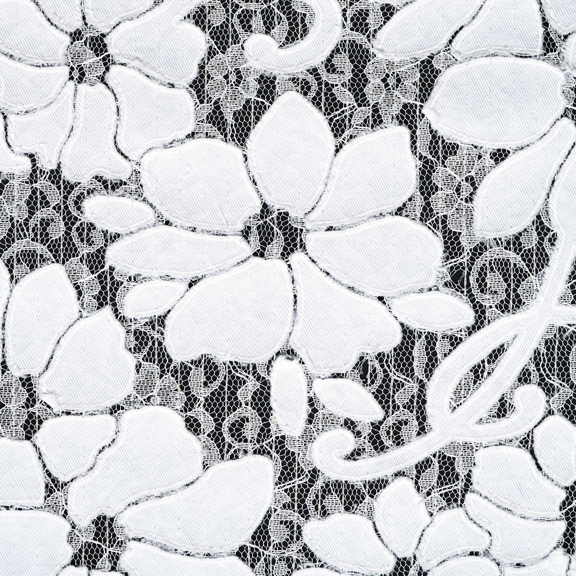 Koronka, Haftowane, Kwiatowy, Brilliant White (F000037544) - Tkana