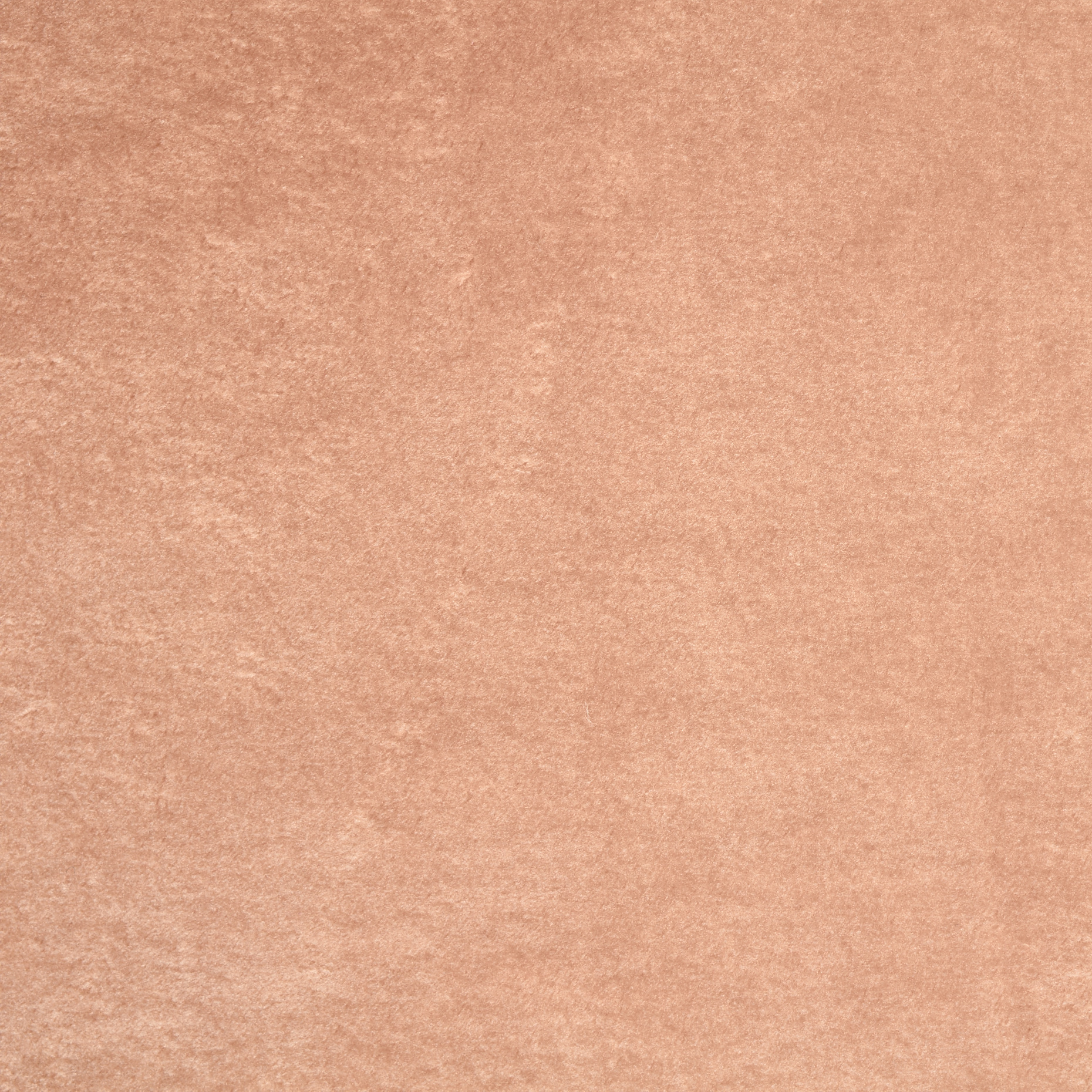 Fake Fur, Elastic, Sesame (F000047130) - Texture