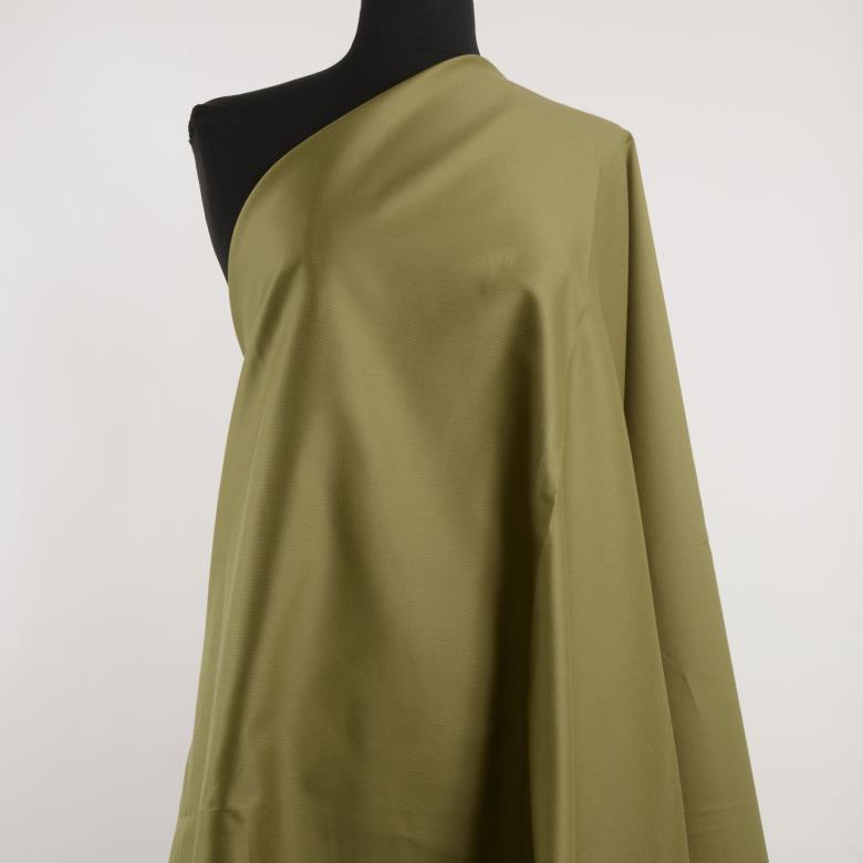 Тафта, Шелк, Dried Herb (F000029433) - Манекен