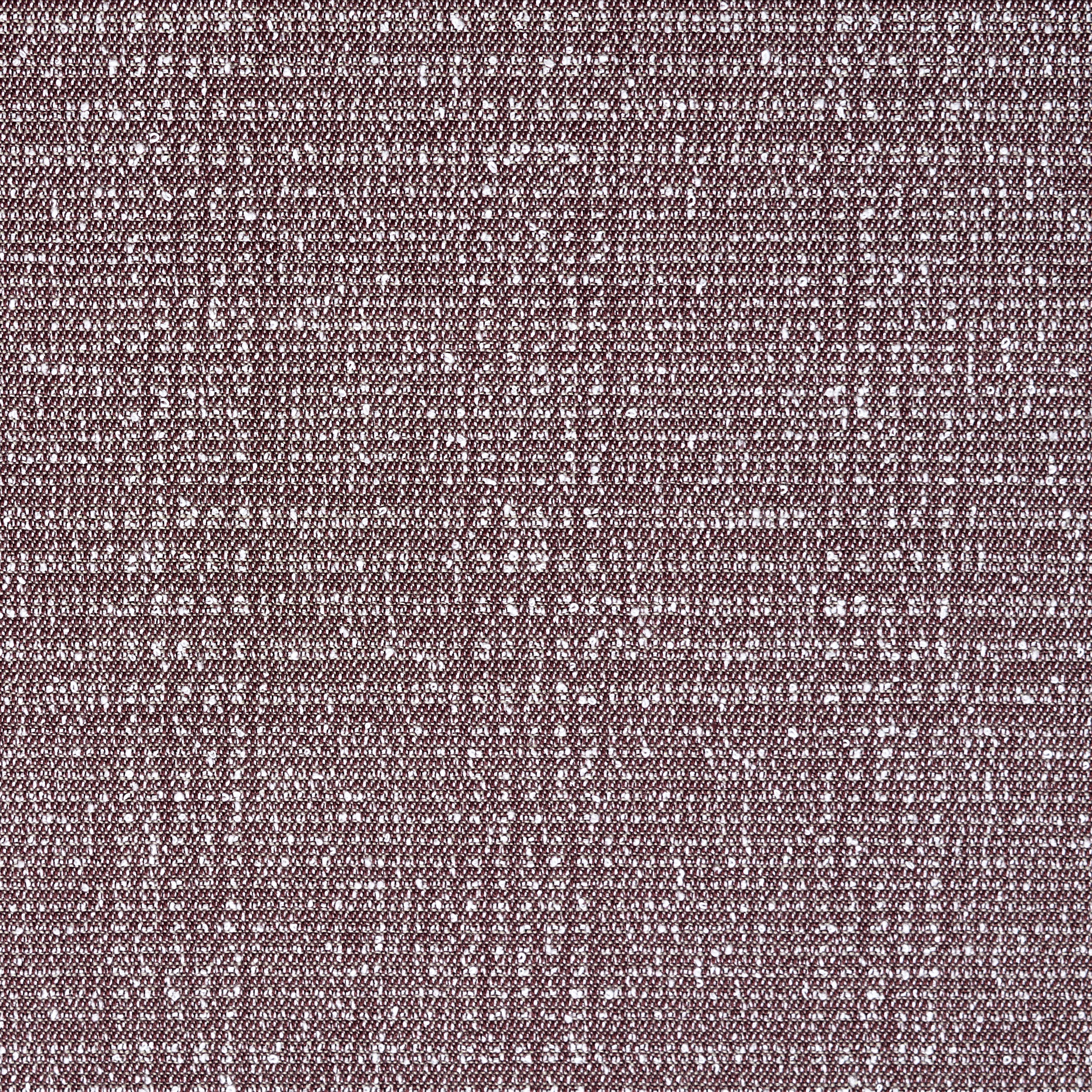 Bouclé, Bawełna, Stretch, Mahogany&Snow White (F000044219) - Tkana