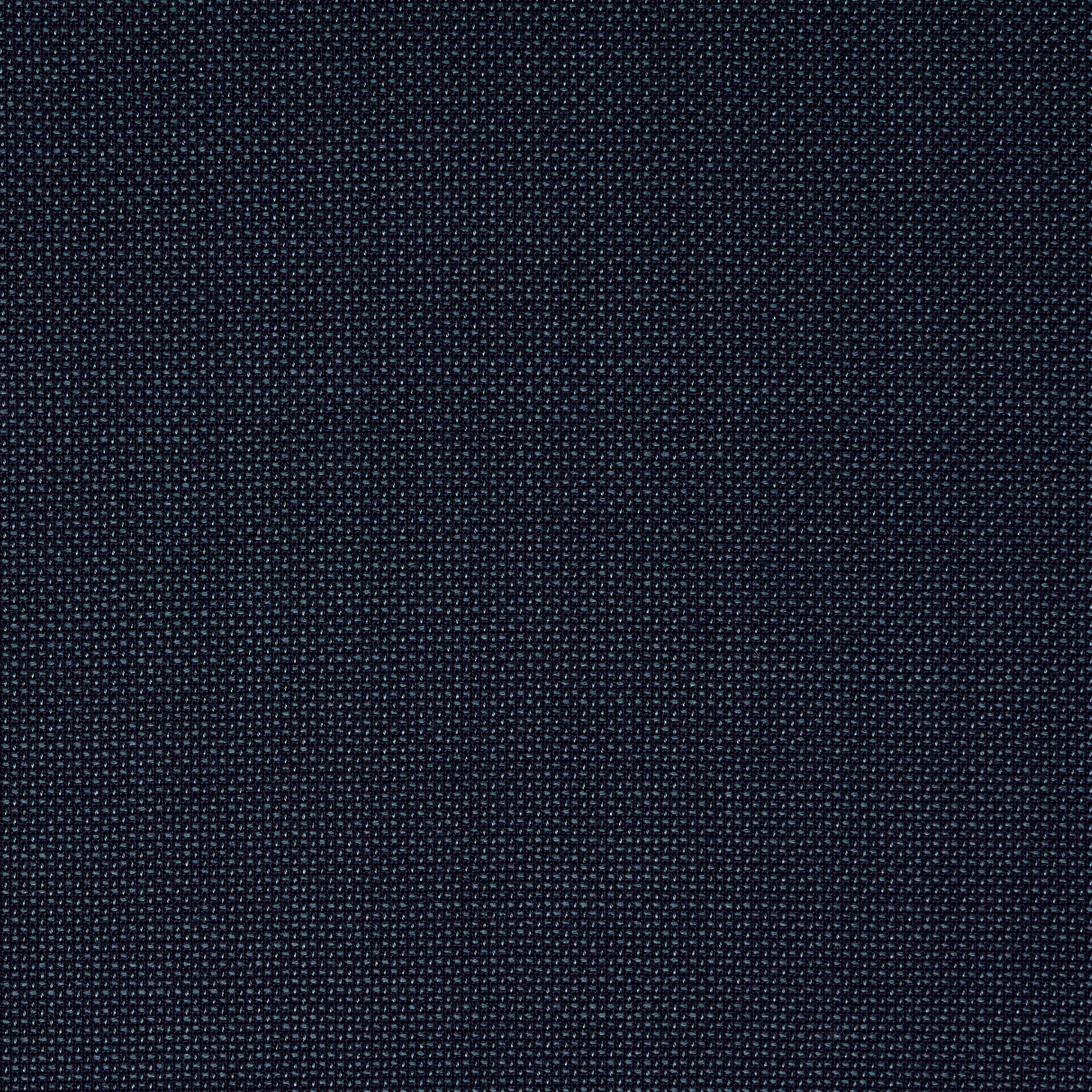 Canvas , Ramié, Micro Structure , Dark Blue (F000042143) - Tissage