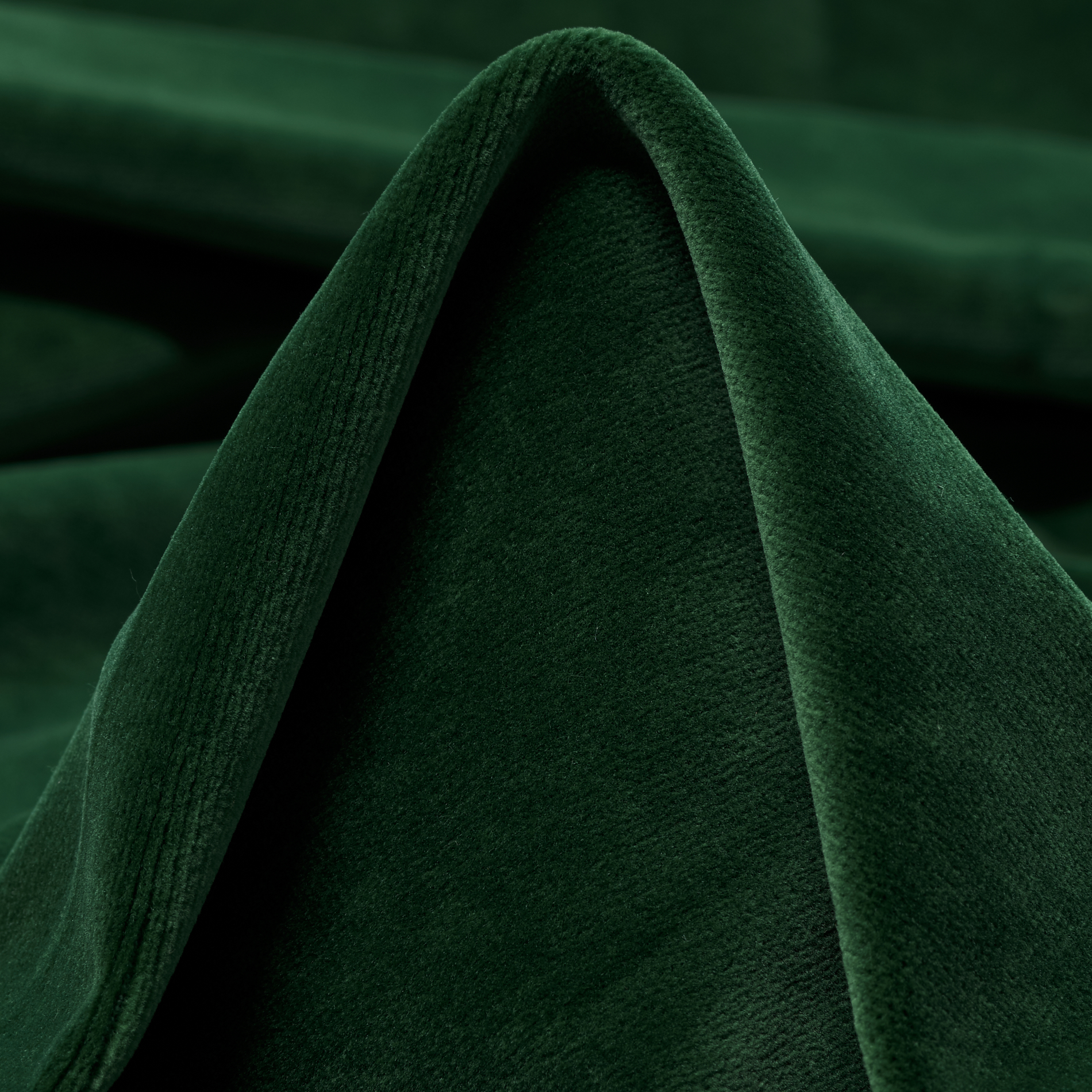 VELVET, COTTON, EVERGREEN (C0002350)