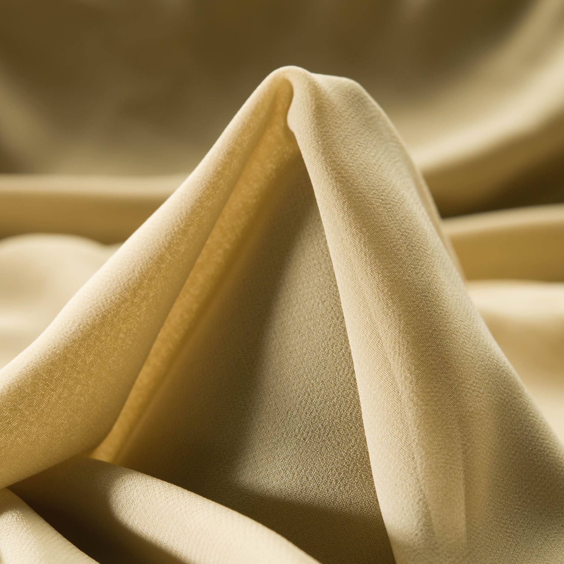 CHIFFON, BISCOTTI (F000021133)