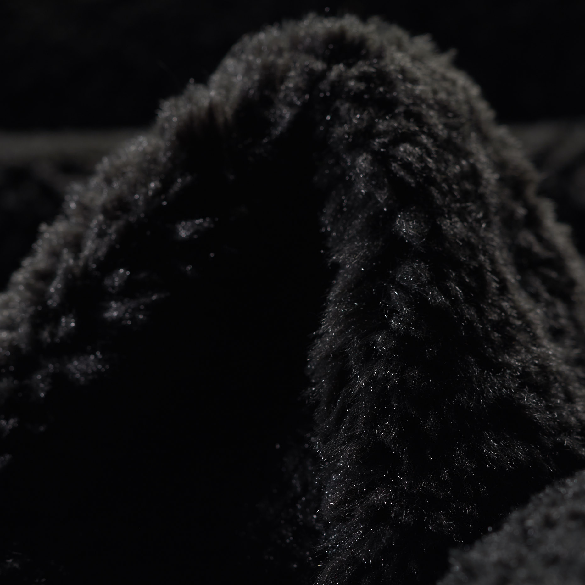 FAKE FUR, TEDDY, JET BLACK (F000026261)