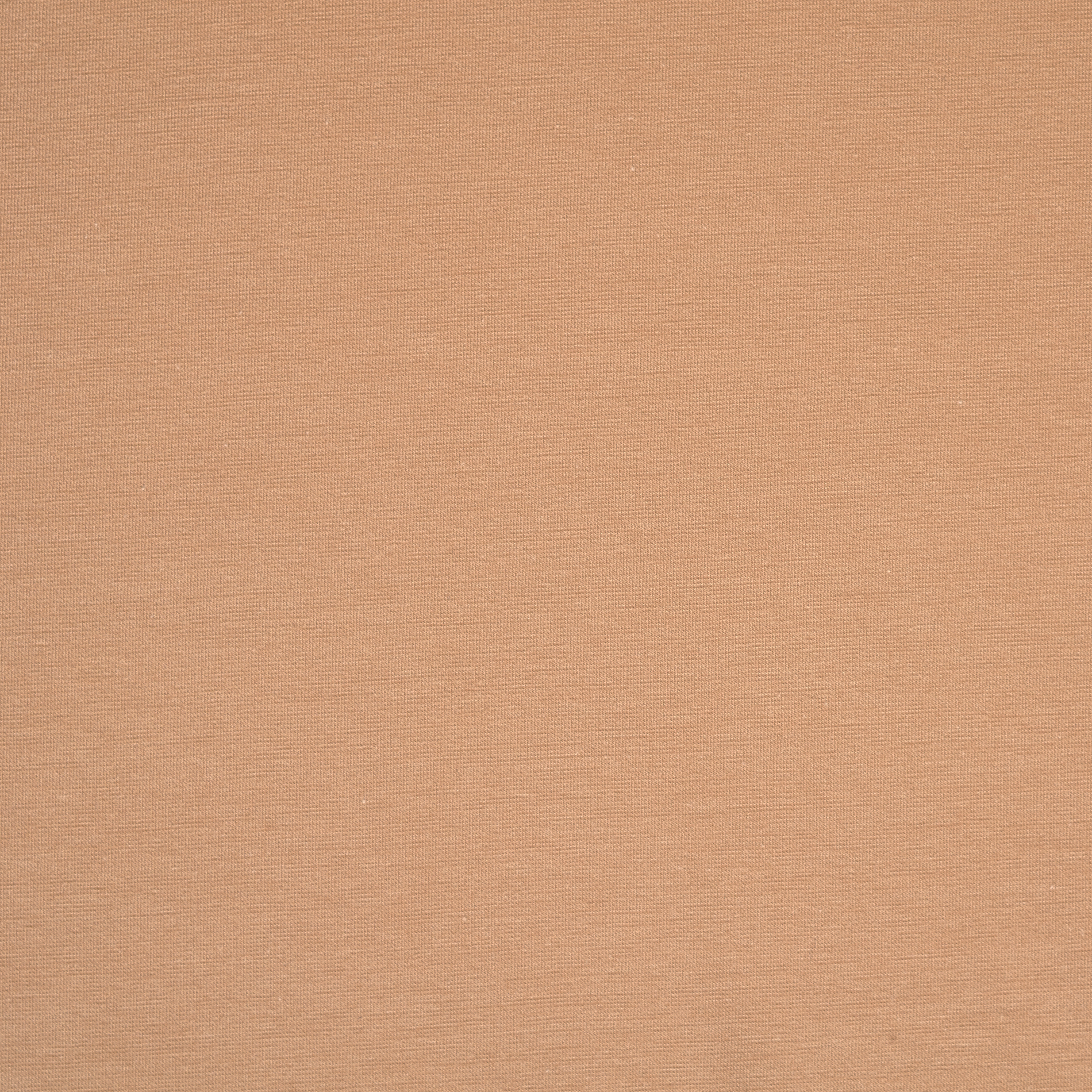 SINGLE JERSEY, COTTON, FRAPPÈ (F000034659) - Texture