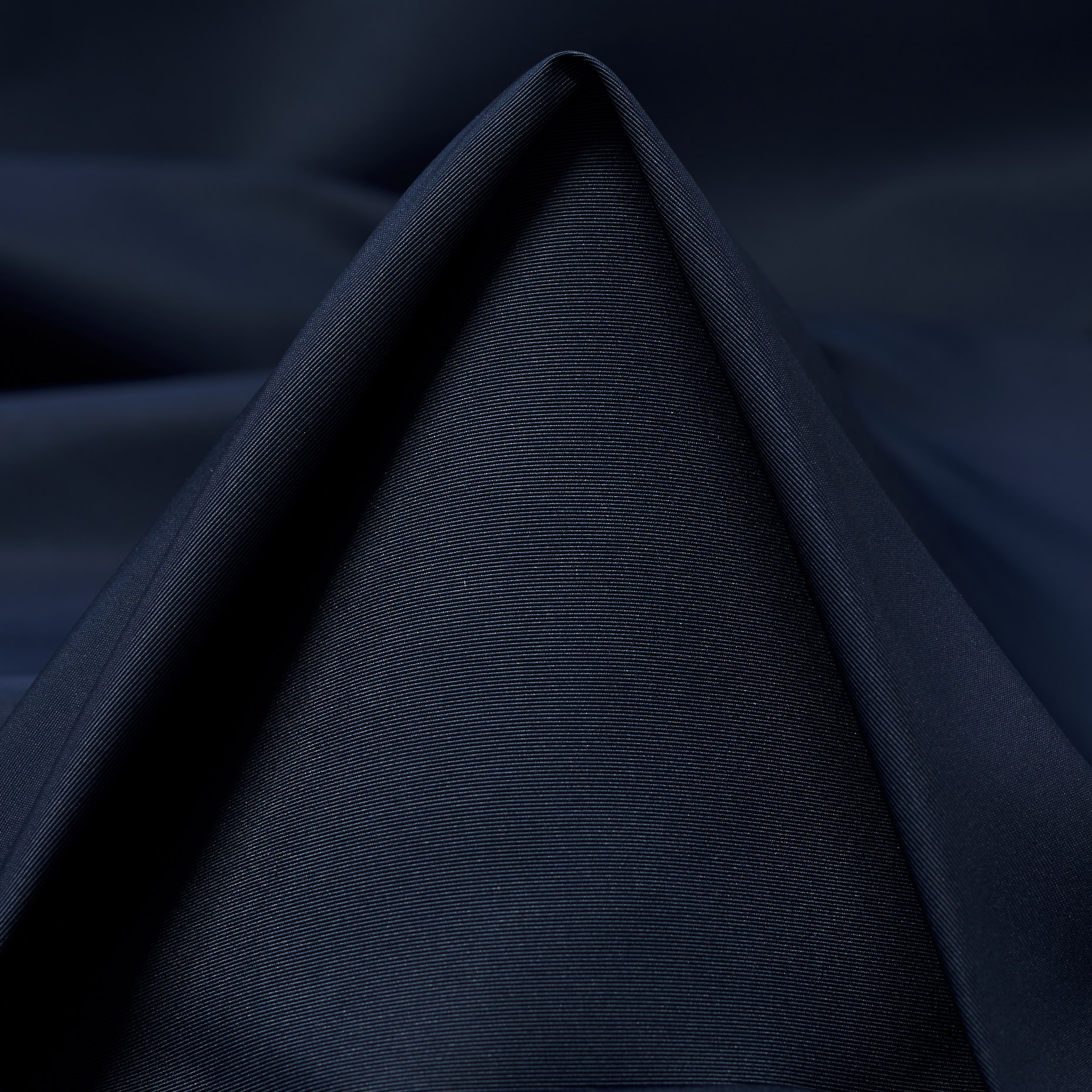 OUTDOOR, FOREST NIGHT (F000041850)