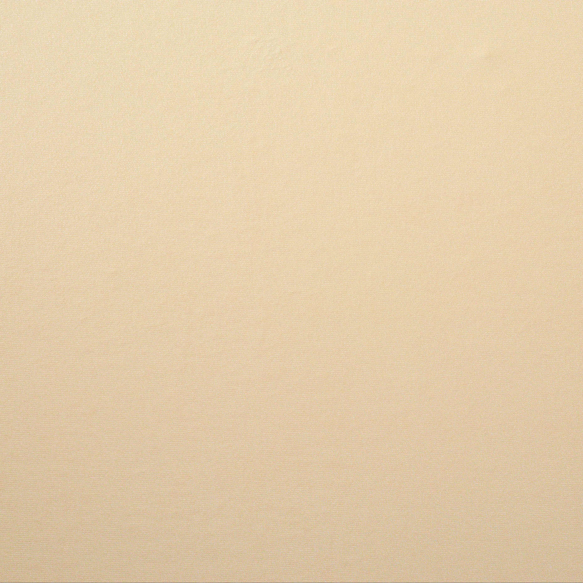 SINGLE JERSEY, OYSTER (F000025499) - Texture