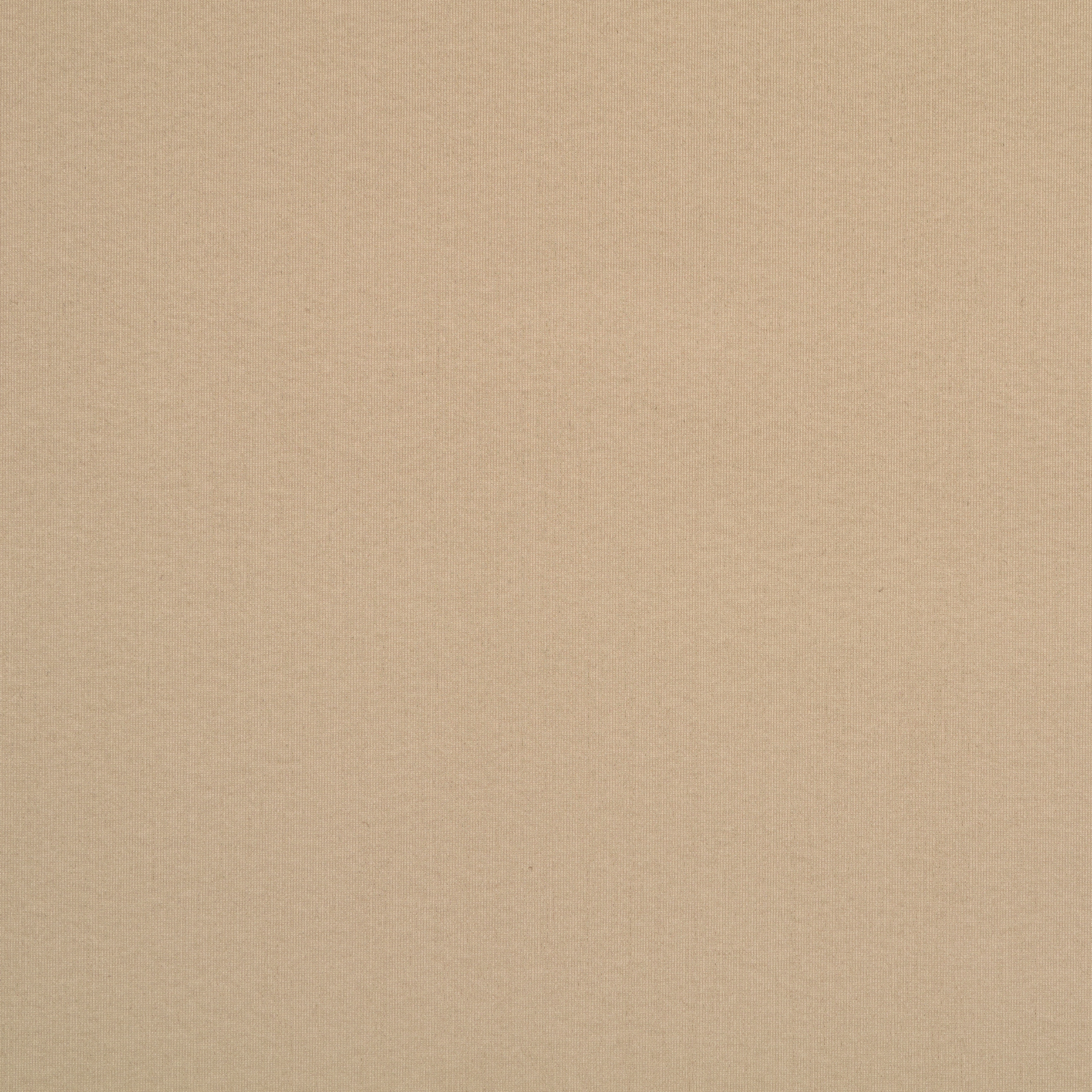 TECHNO JERSEY, ELASTIC, OYSTER GRAY (F000046618) - Texture