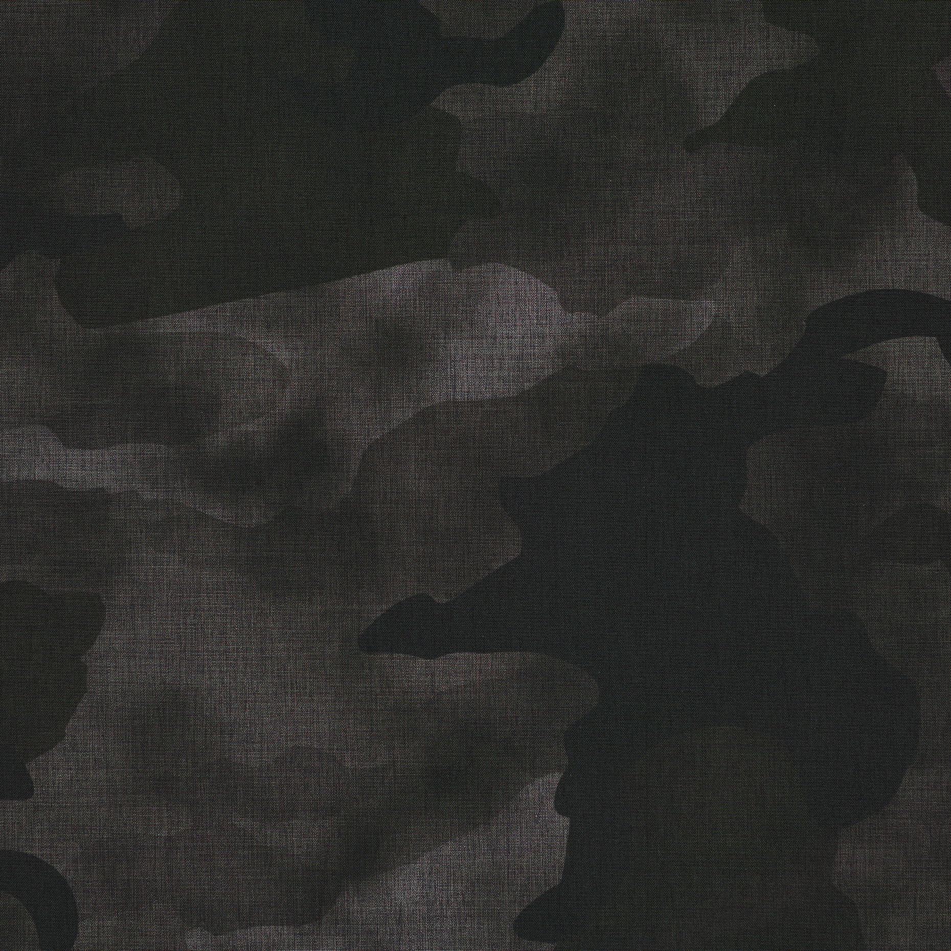 Аутдор, Нейлон, Камуфляж, Blackened Pearl (F000047300) - Ткань