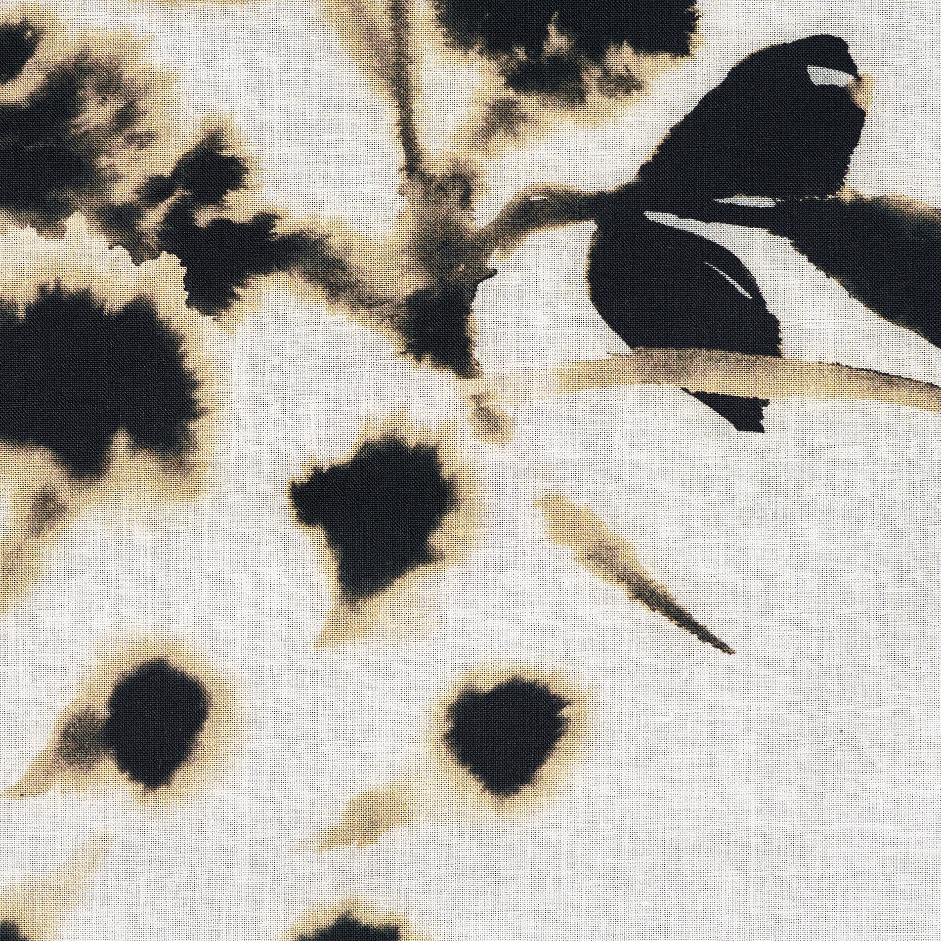 BATISTE, COTTON, PRINTED, SNOW WHITE&SAND DOLLAR (T0000751) - Texture