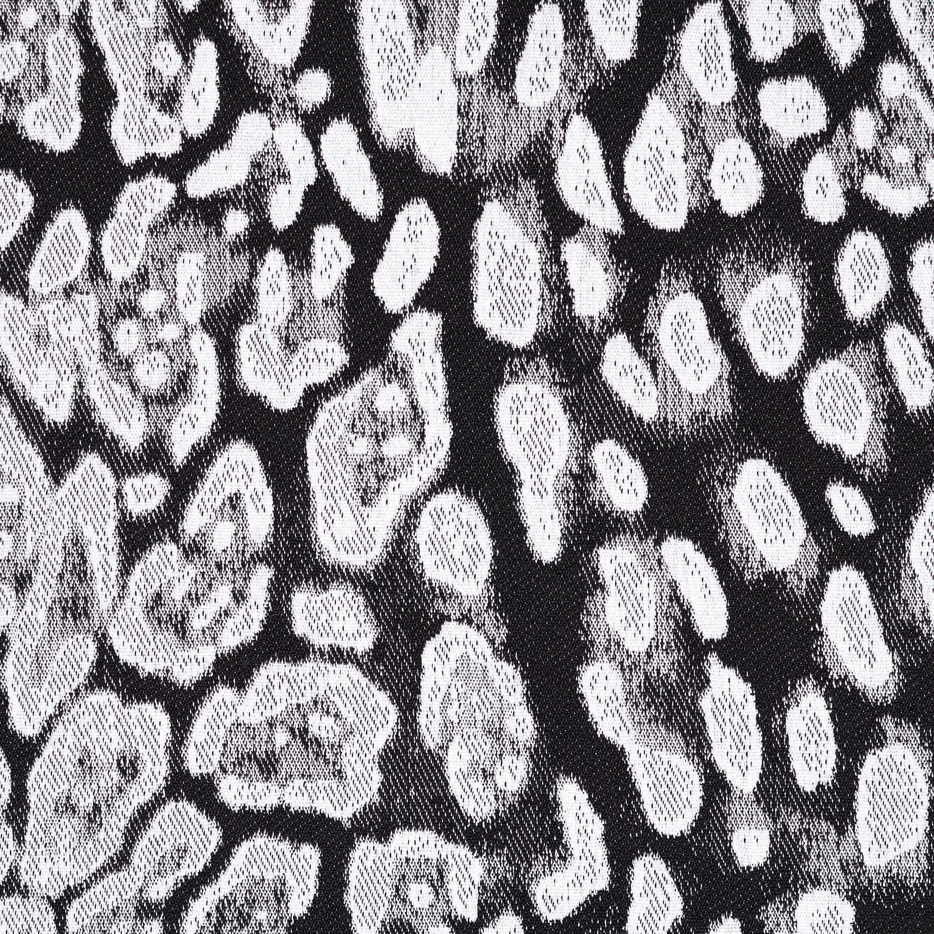 JACQUARD, COTTON, ELASTIC, BIT OF BLUE&RAVEN BLACK (P000003040) - Texture